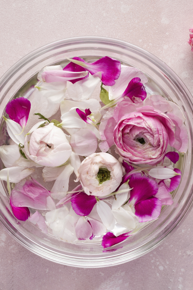 Стеклянный сосуд с оборванными цветами розы и лютика