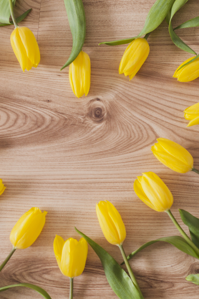 Сердце из желтых тюльпанов на деревянном столе