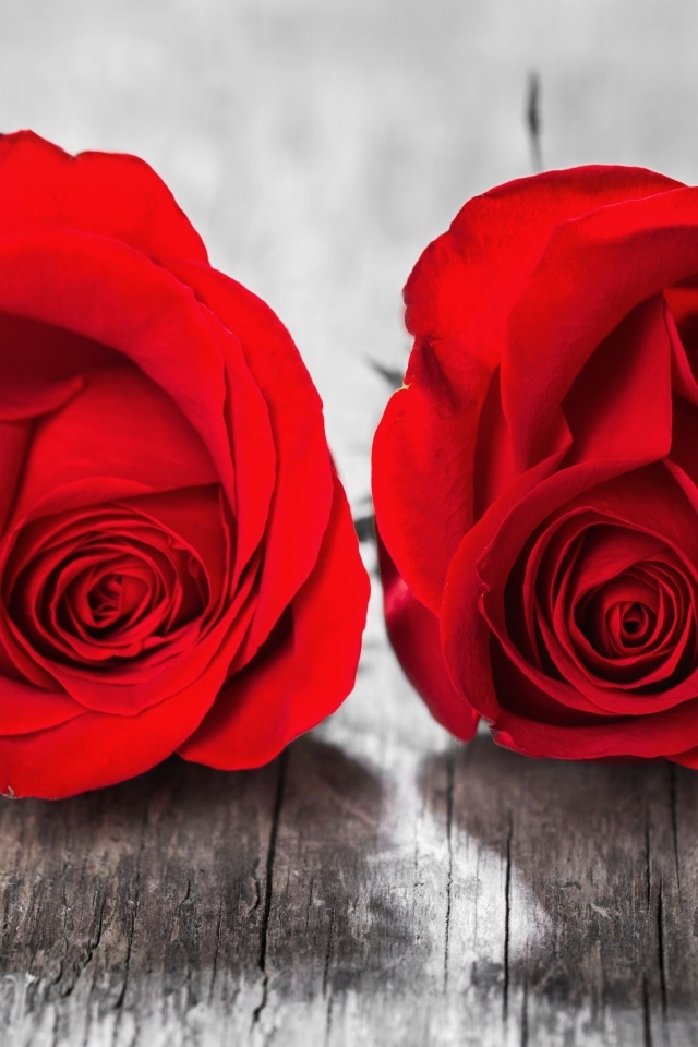 Две красные розы на деревянном столе