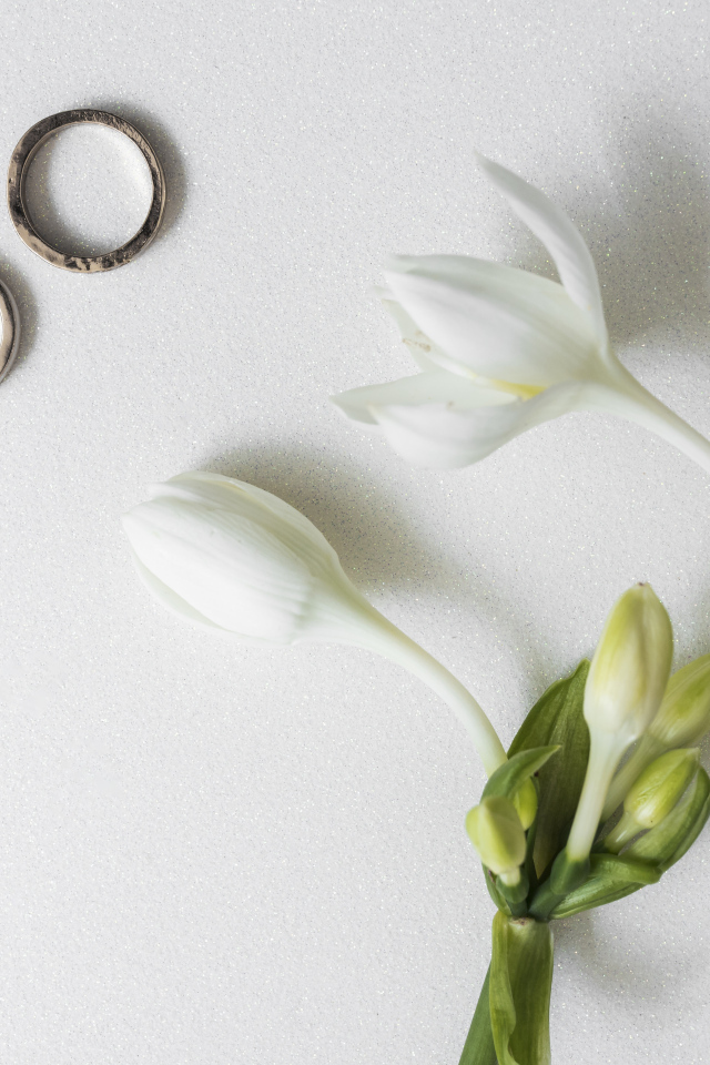 Два оручальных кольца с цветами на сером фоне