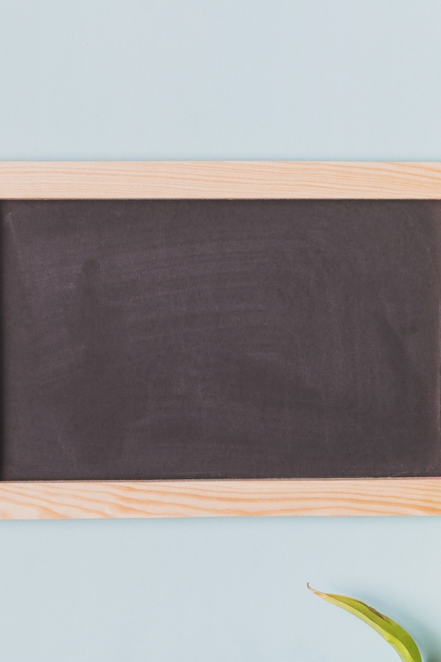 Желтые тюльпаны с рамкой для фона на сером фоне