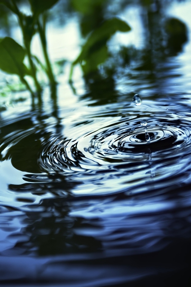 Круги и брызги на воде 
