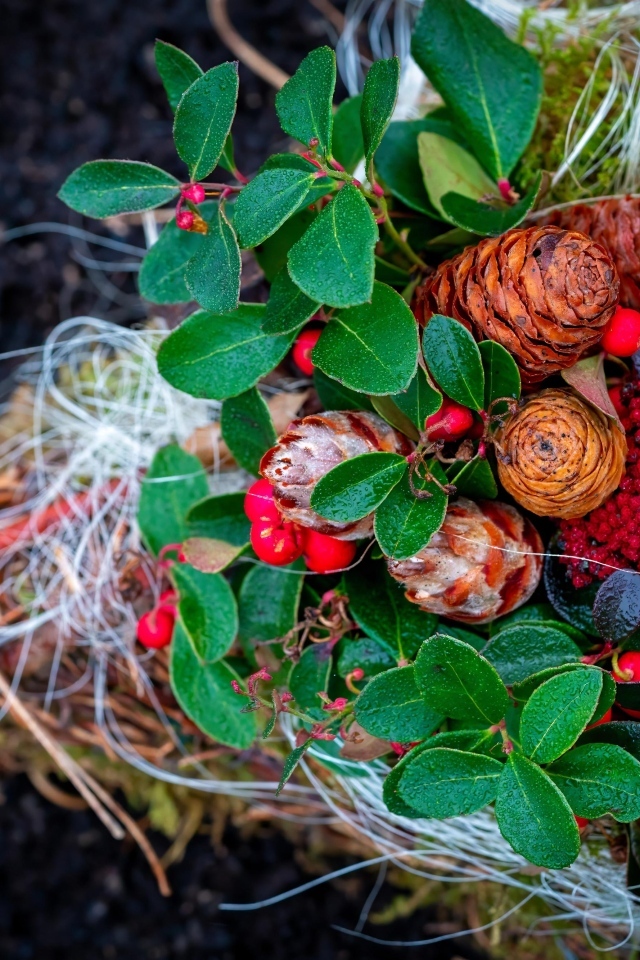 Шишки с ветками и ягодами калины