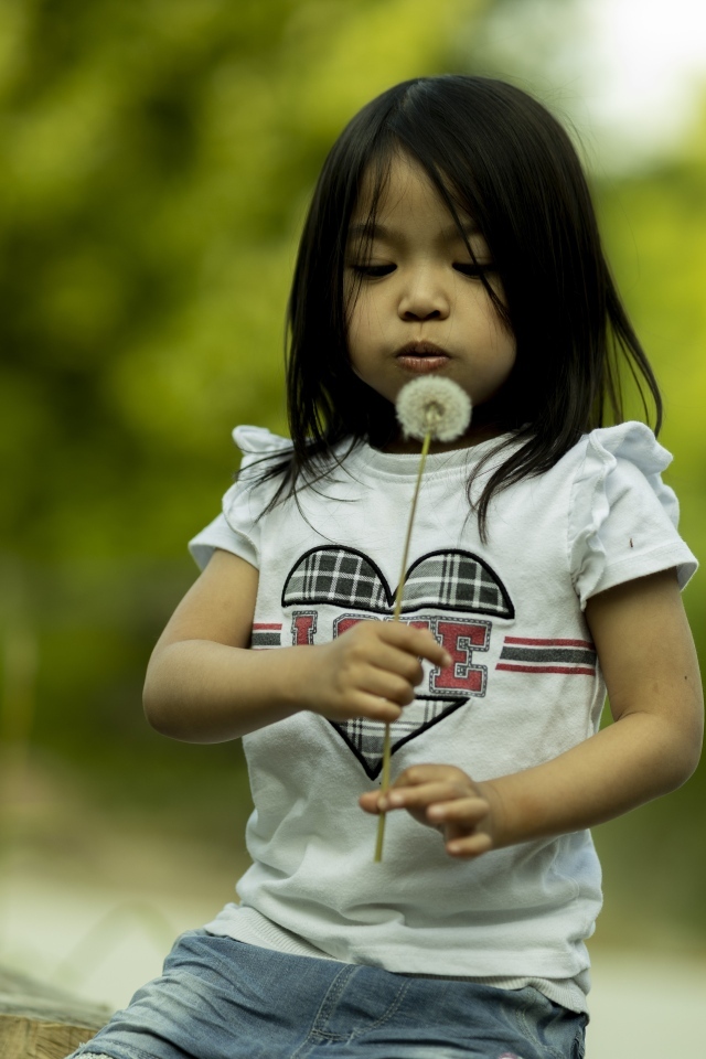 Маленькая девочка азиатка с одуванчиком в руках