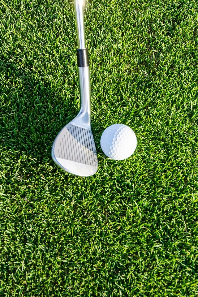 Клюшка для гольца с мячом на зеленой траве