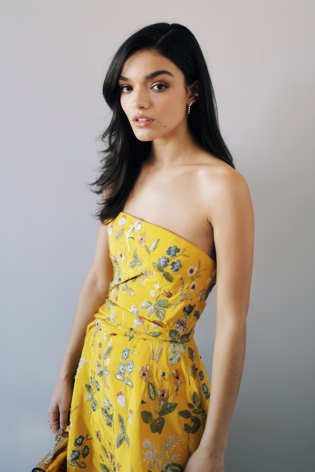 Милая молодая брюнетка актриса Рэйчел Зеглер на сером фоне