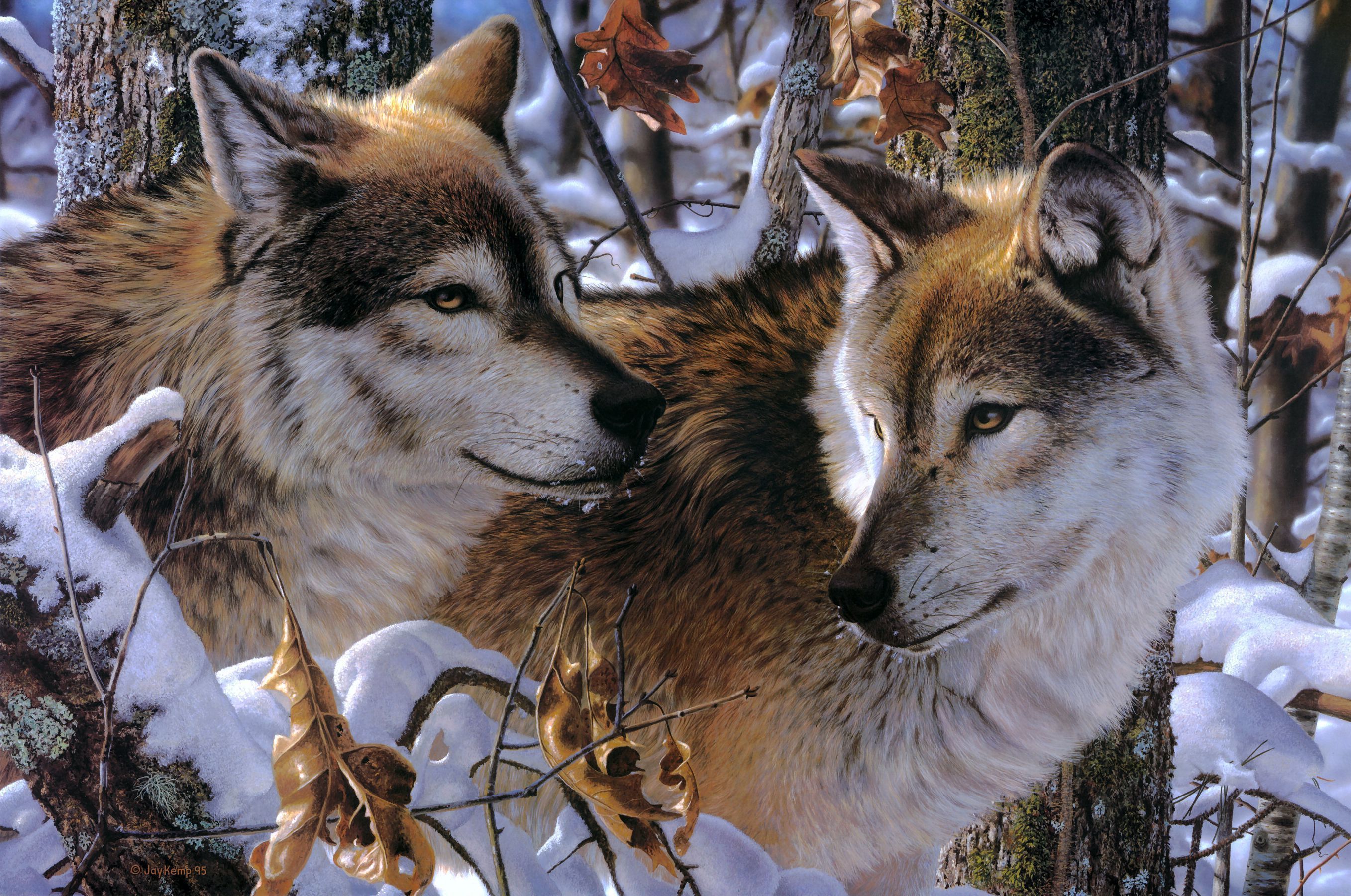 Природу про волков. Красивый волк. Волк картинка. Вышивка бисером волки.