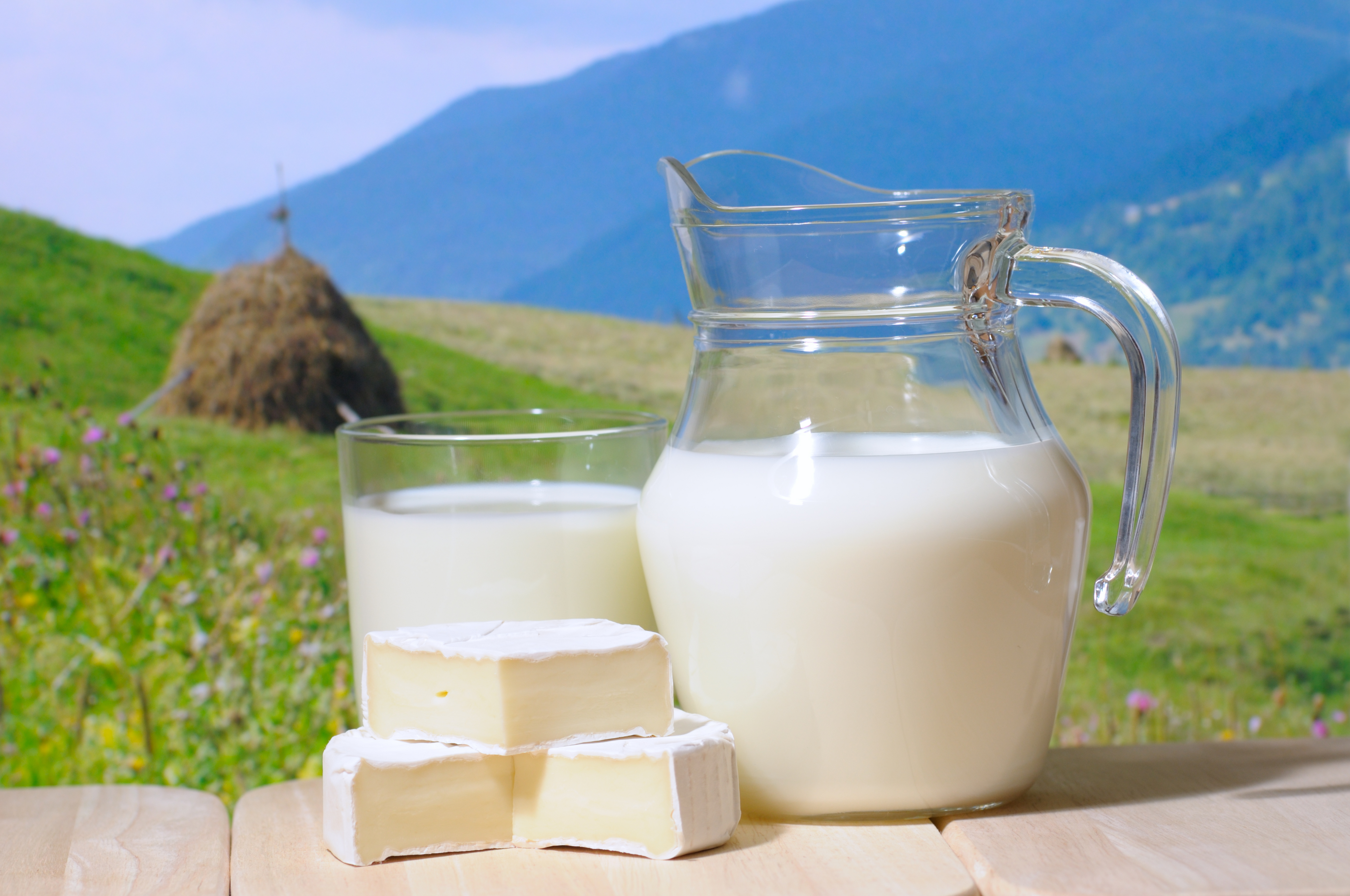 Milk In A Jug Wallpapers And Images Wallpapers Pictures Photos Images, Photos, Reviews