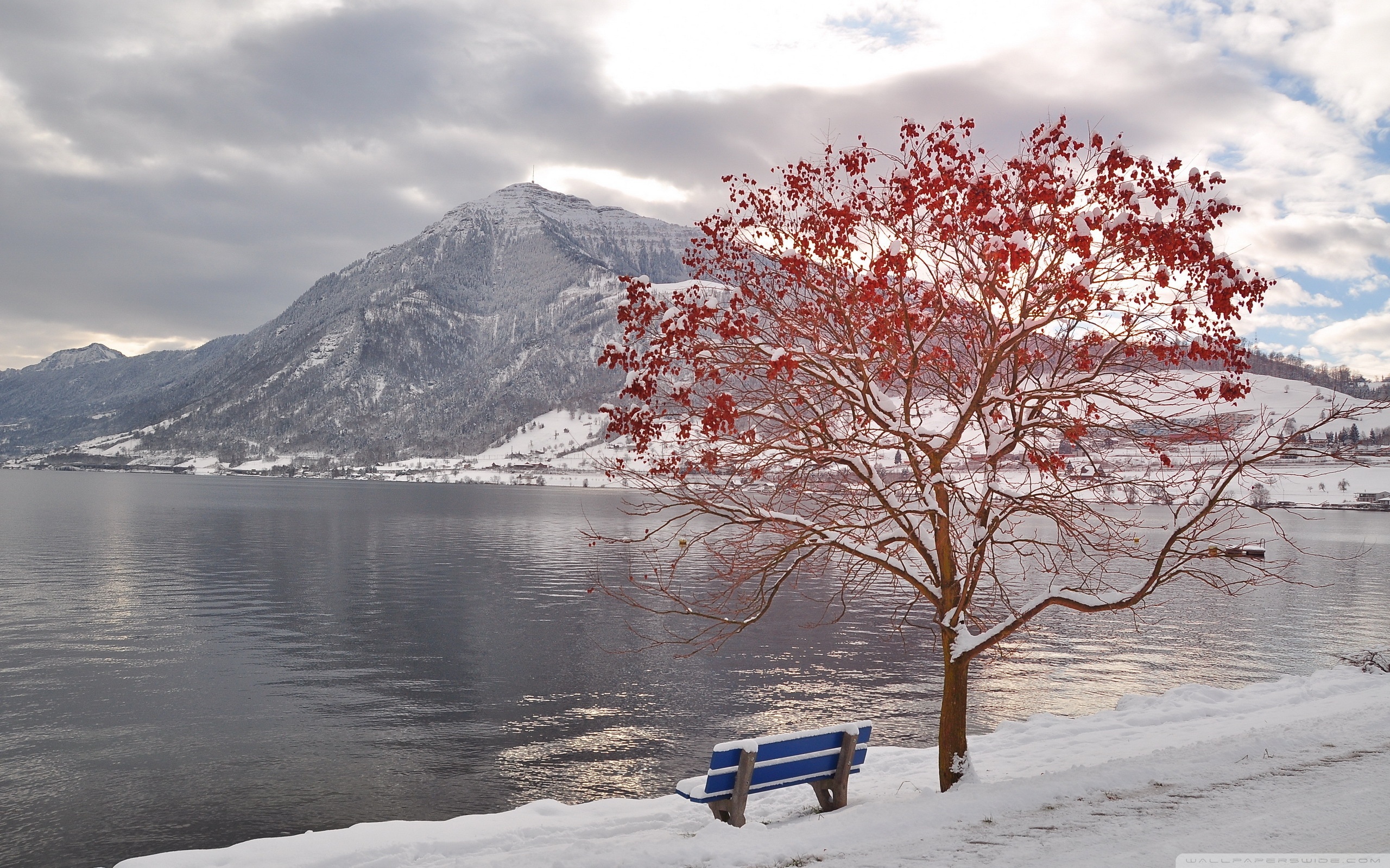 Озеро снег деревья
