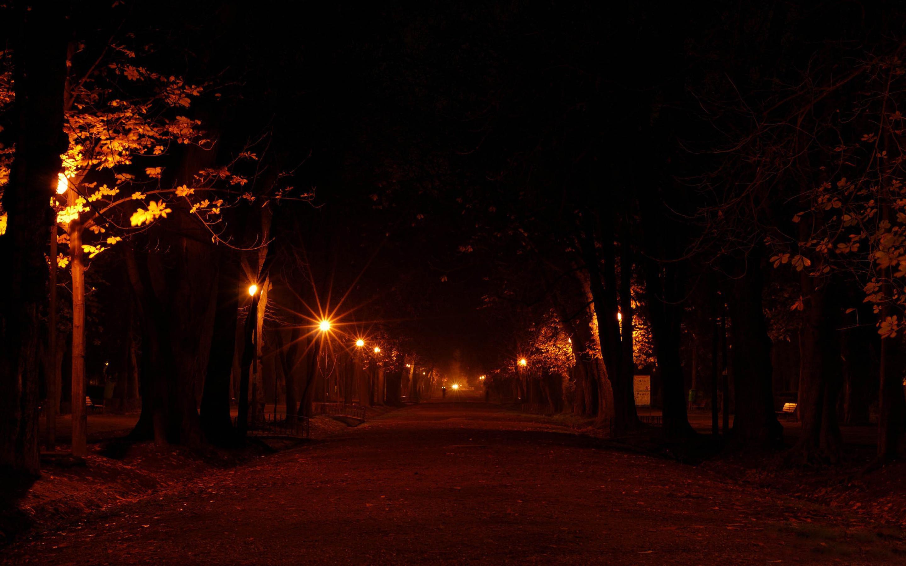 Темным осенним вечером. Полюстровский парк ночью. Миусский парк ночью. Ночная улица. Ночная аллея с фонарями.