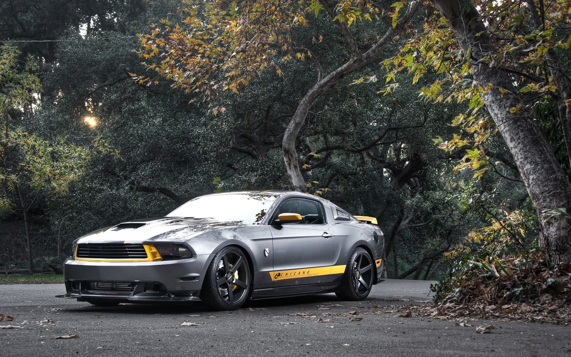 Muscle mustang and ford #7