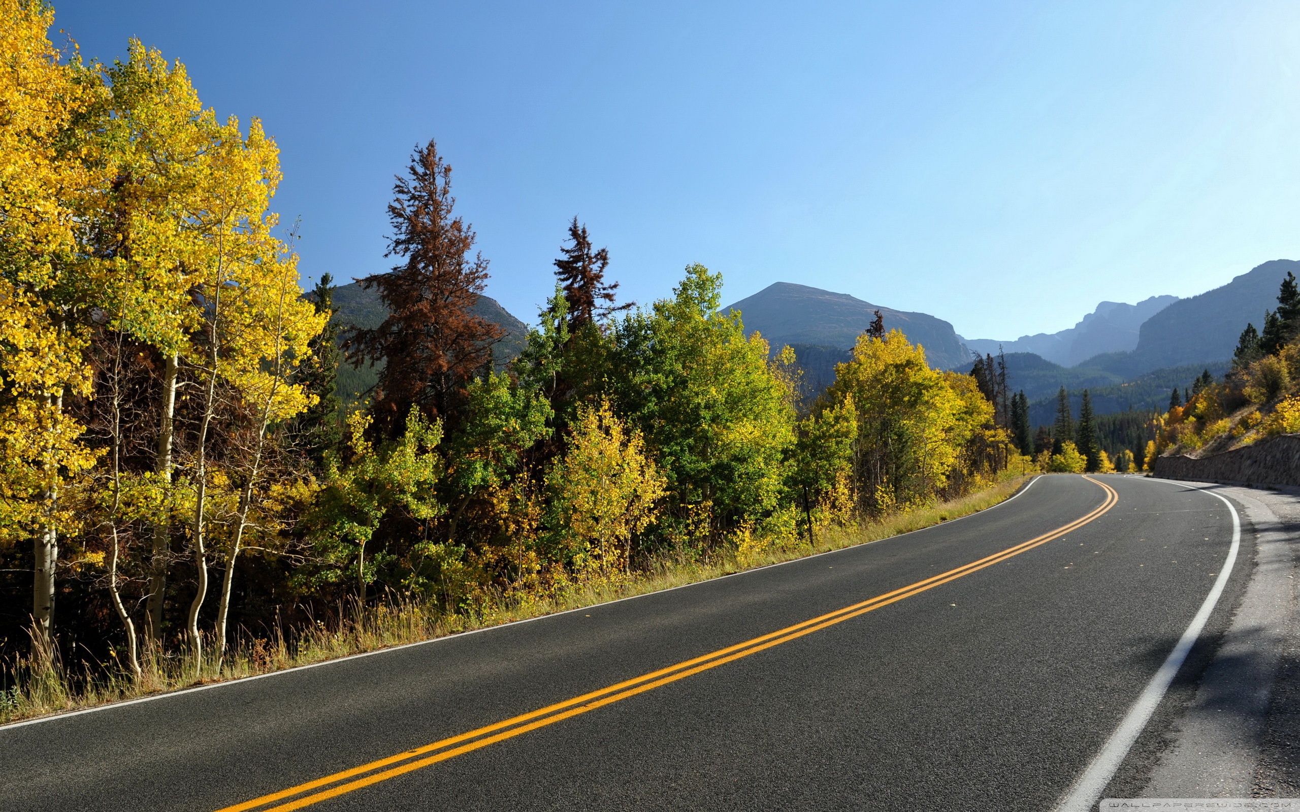 Дорога с красивым видом. Осенняя дорога. Красивые дороги. Дорога в осень.