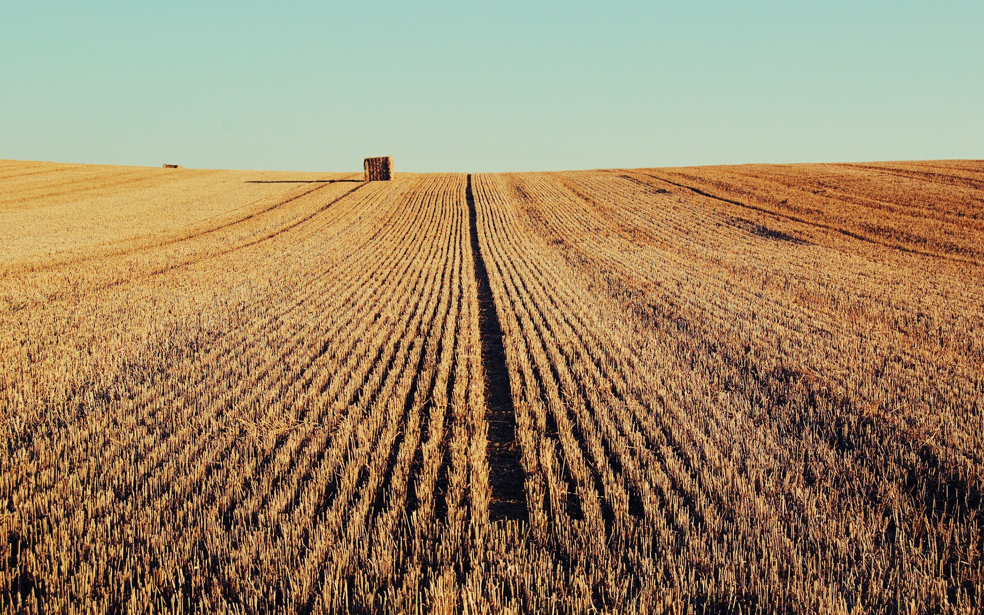 Русское вспаханное поле. Поле пшеницы. В поле. Сельскохозяйственные земли. Поле пашня.