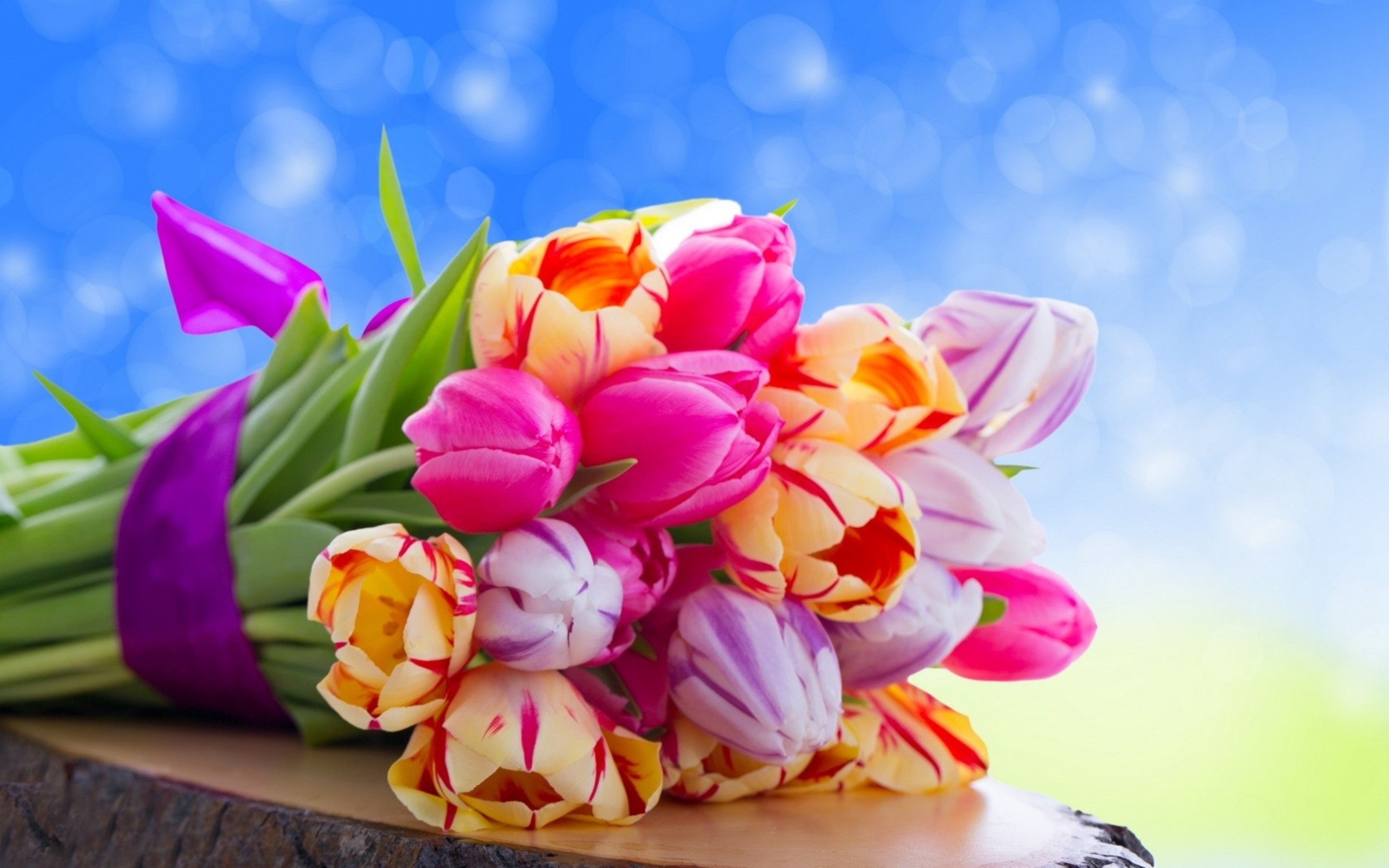 https://www.zastavki.com/pictures/originals/2013/Nature___Flowers___Bouquet_of_tulips_042489_.jpg