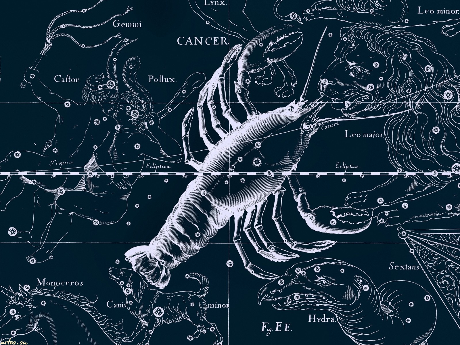 Рак на английском языке. Карта зодиакальных созвездий.