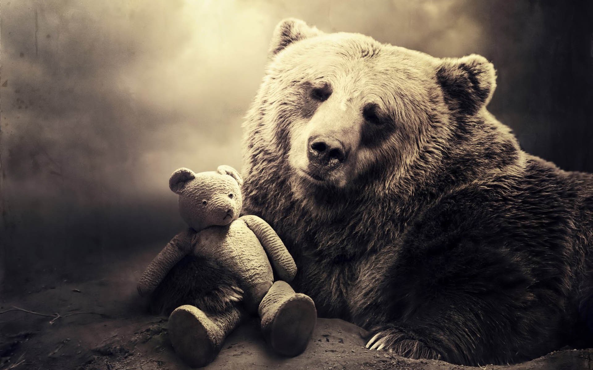 Bear with Teddy bear Desktop wallpapers 1366x768