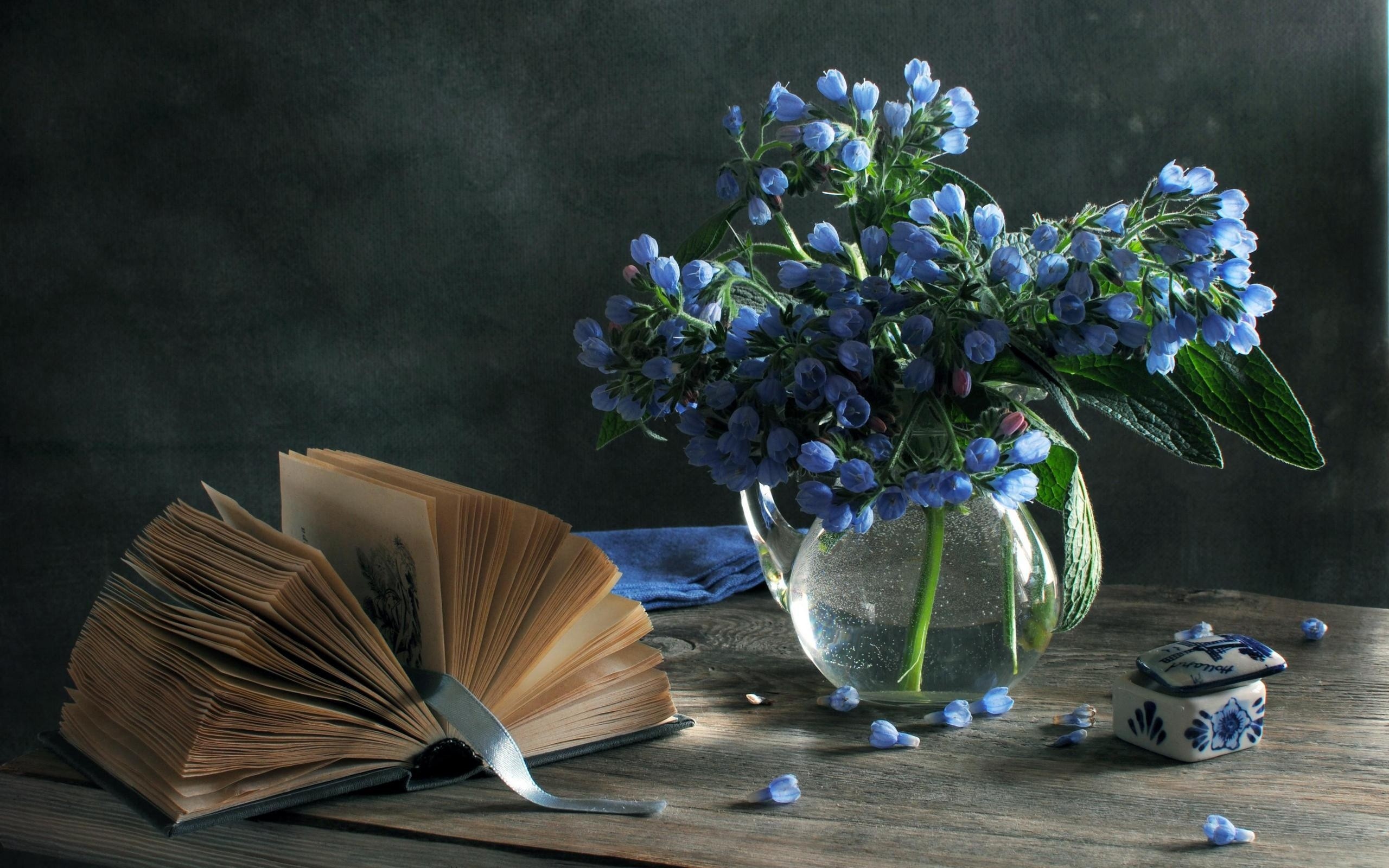 Zastaki.com - Синие цветы и книга