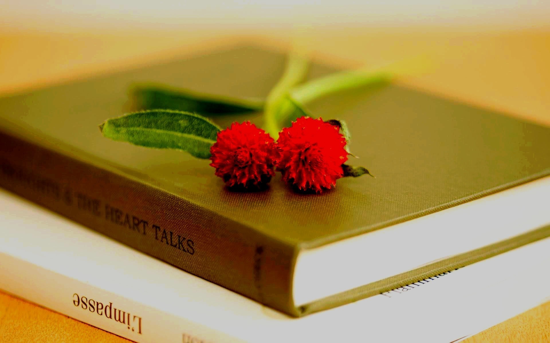 Zastaki.com - Два красных цветка на книгах