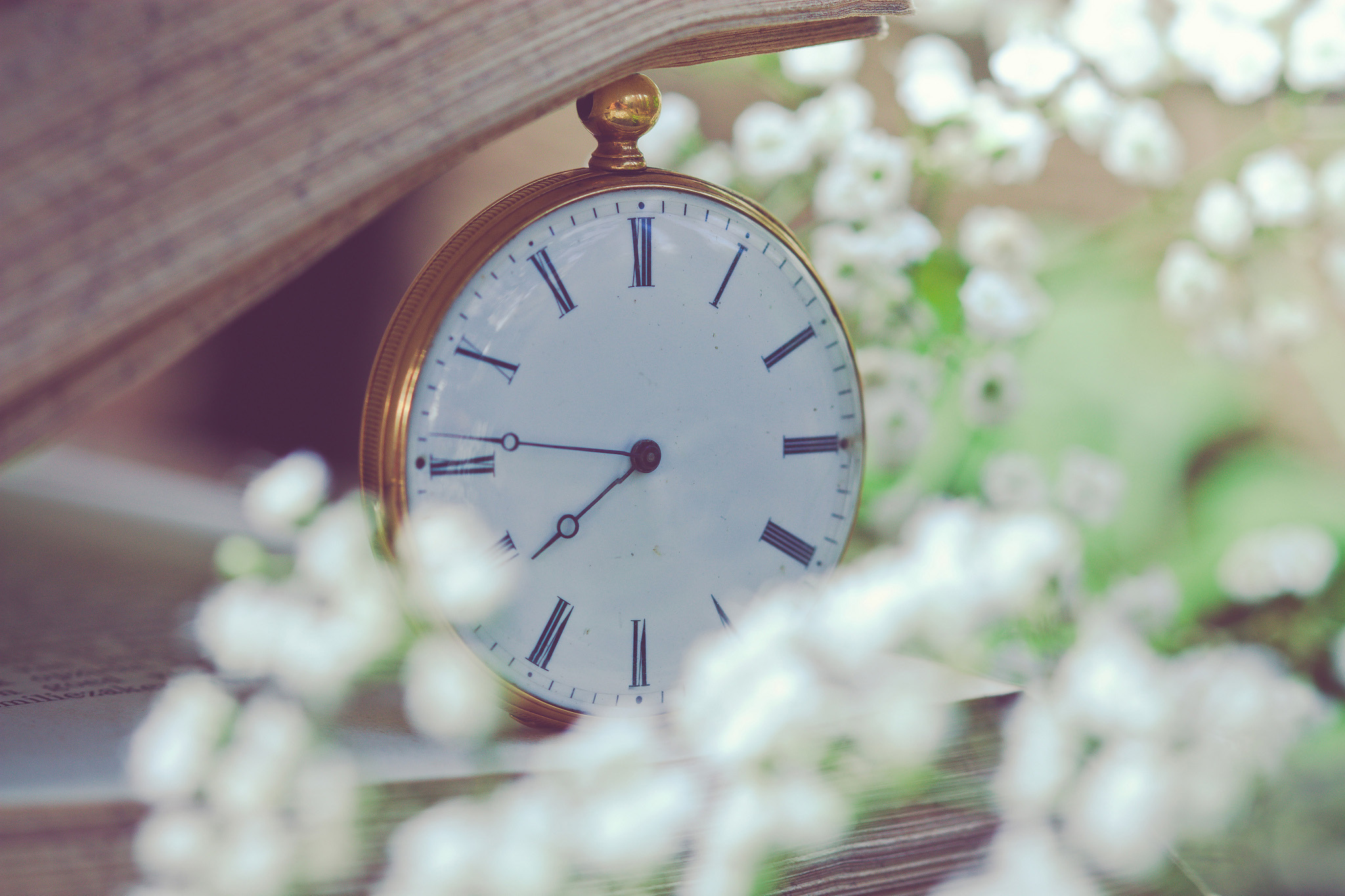 Время то можно просто что. Красивые часы. Часы "цветок". Весенние часики. Часы на красивом фоне.