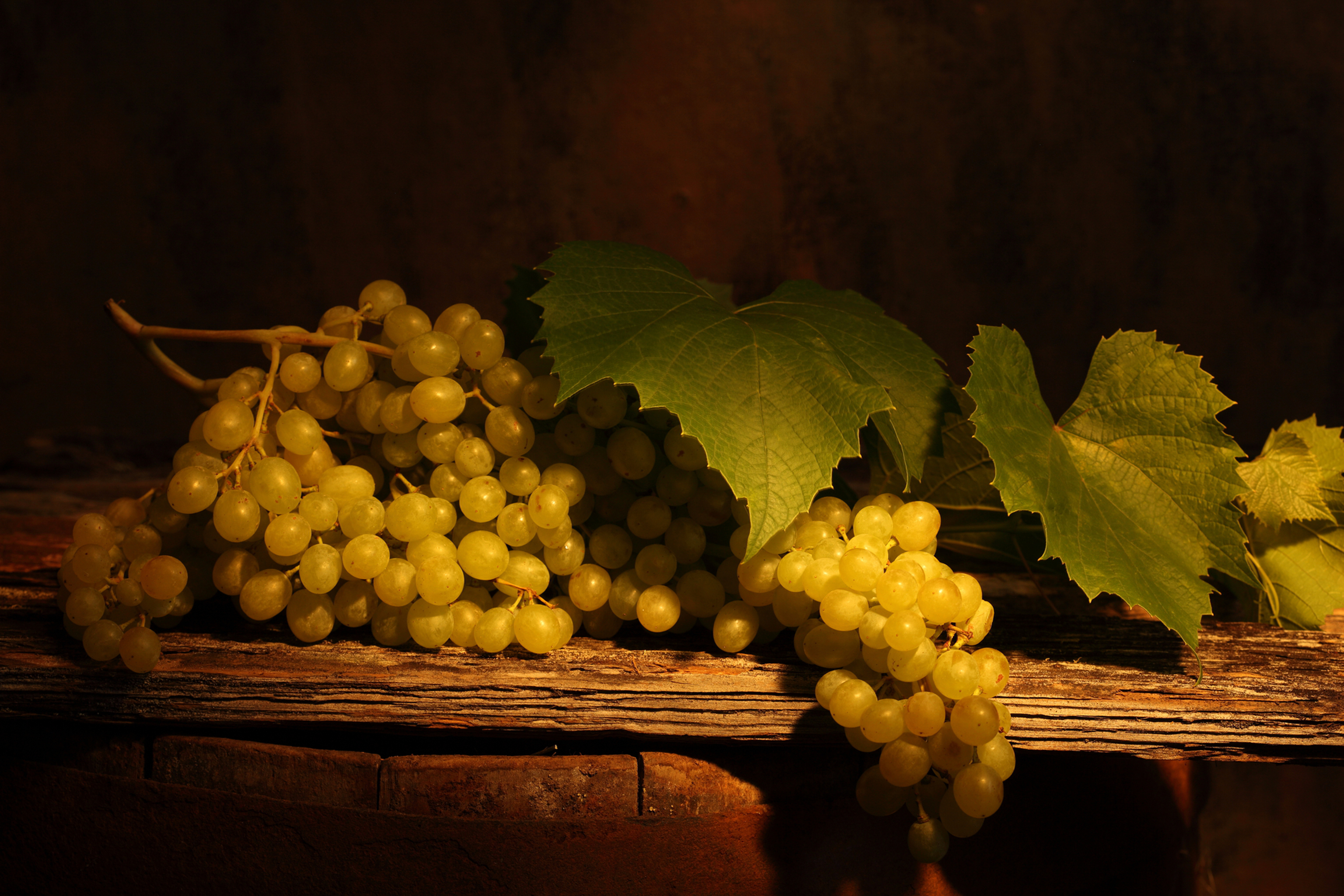Песня ветки винограда. Виноградная гроздь желтый золотистый. Виноград виноградные листья гроздья. Виноградная лоза. Лоза винограда.