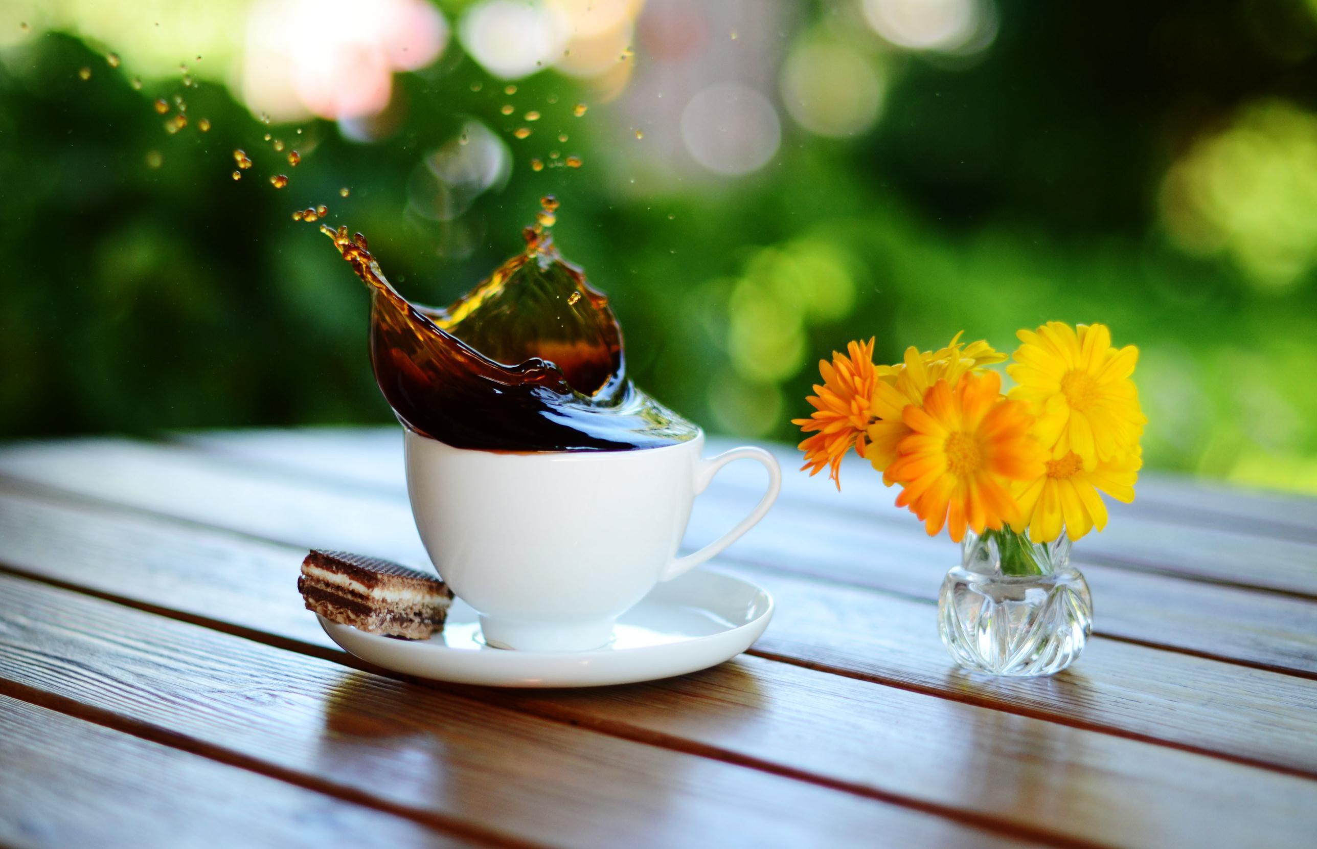 Утроем. Утренний чай на природе. Кофе на природе. Кофе и цветы. Красивое утро.