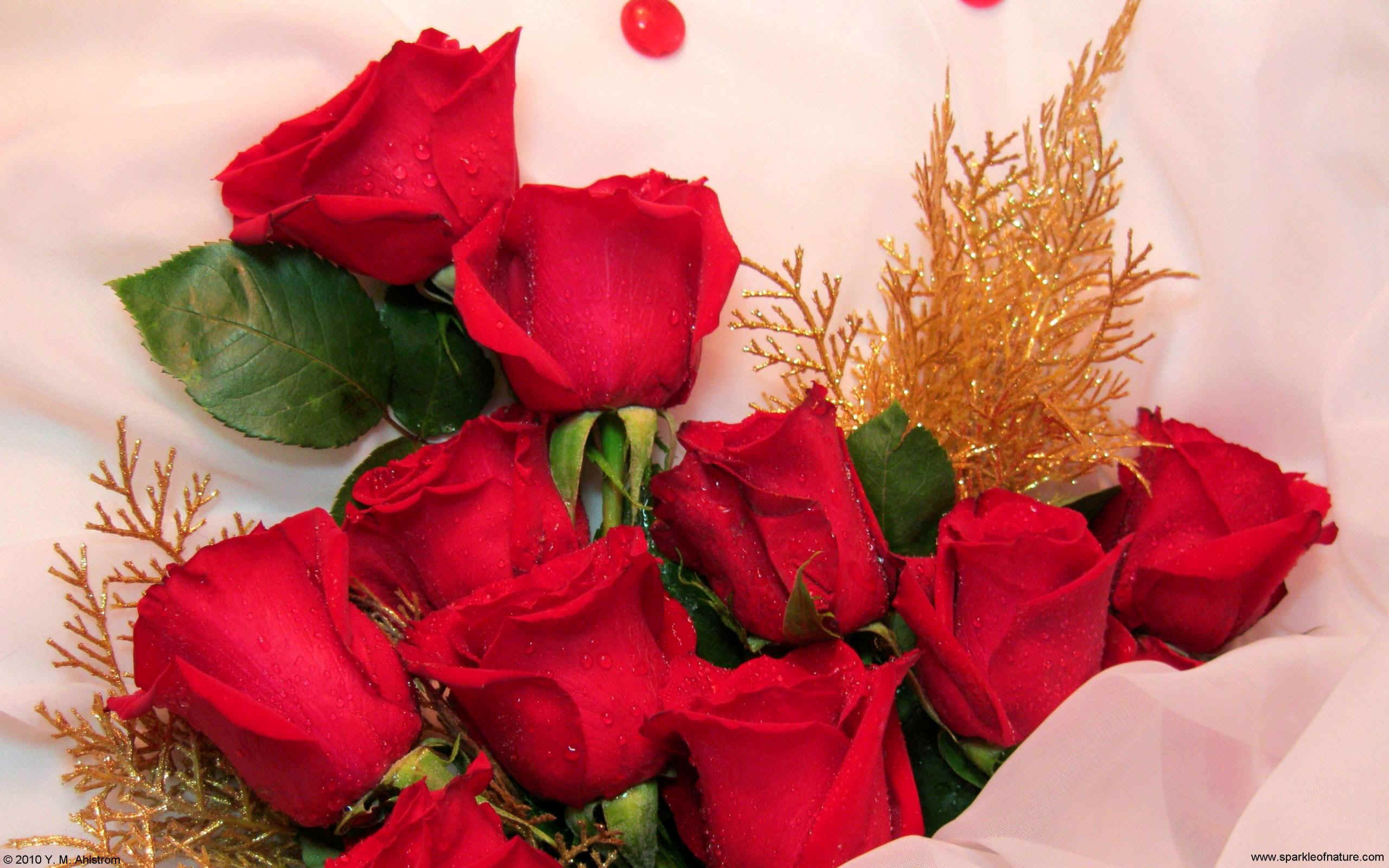 Очаровательная победа. Красивой женщине красивые цветы. Букет любимой. Красивый букет роз. Цветы для любимой.
