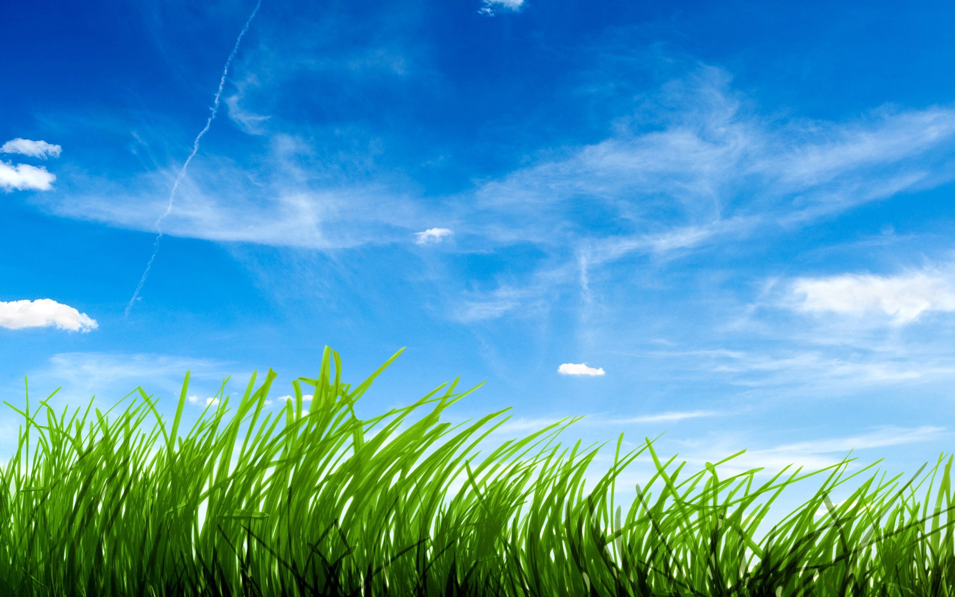 Zastaki.com - Зеленая трава на фоне голубого неба