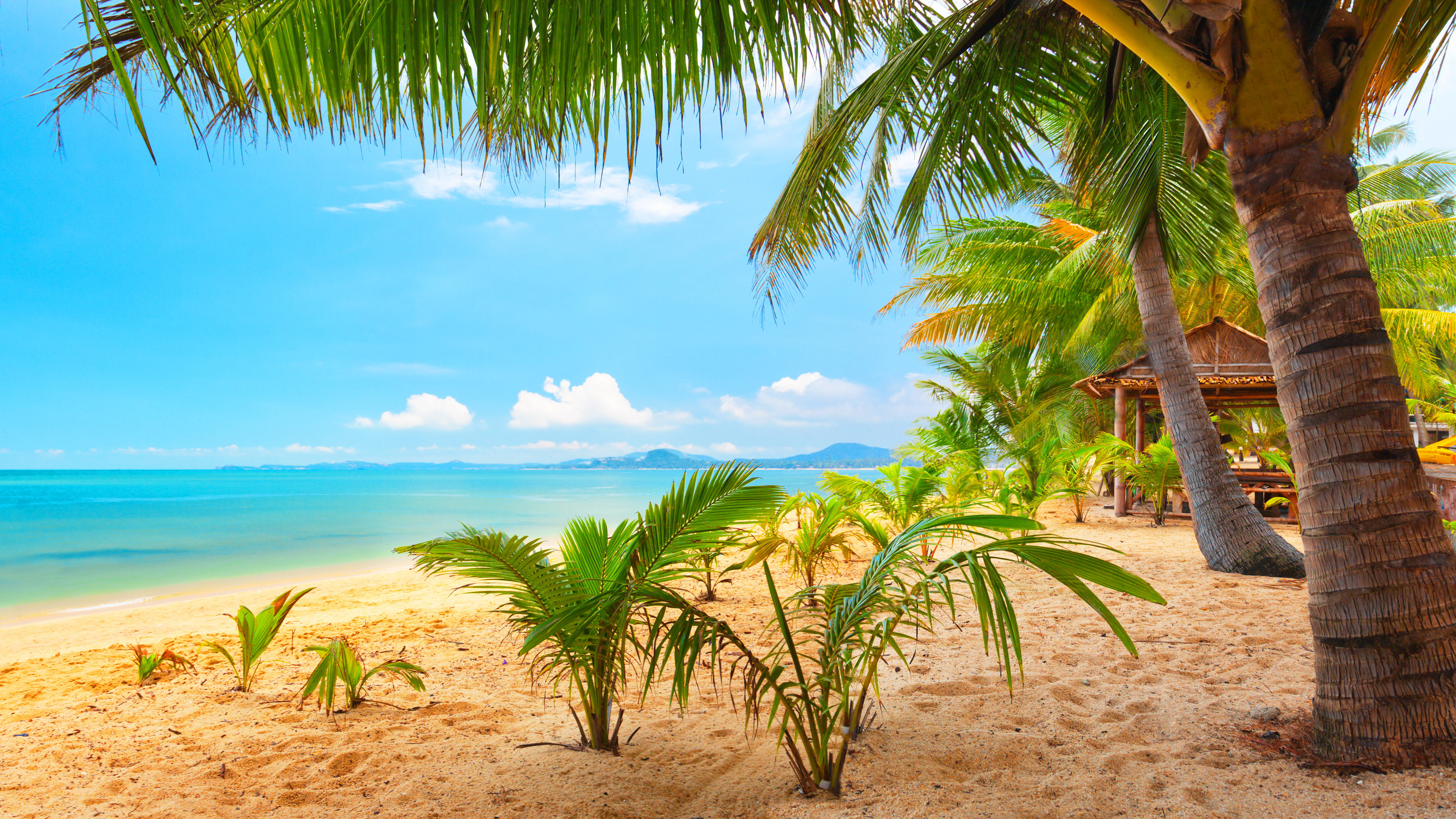 Download wallpaper 3840x2160 maldives, tropical, beach, beautiful 4k uhd 16:9 hd