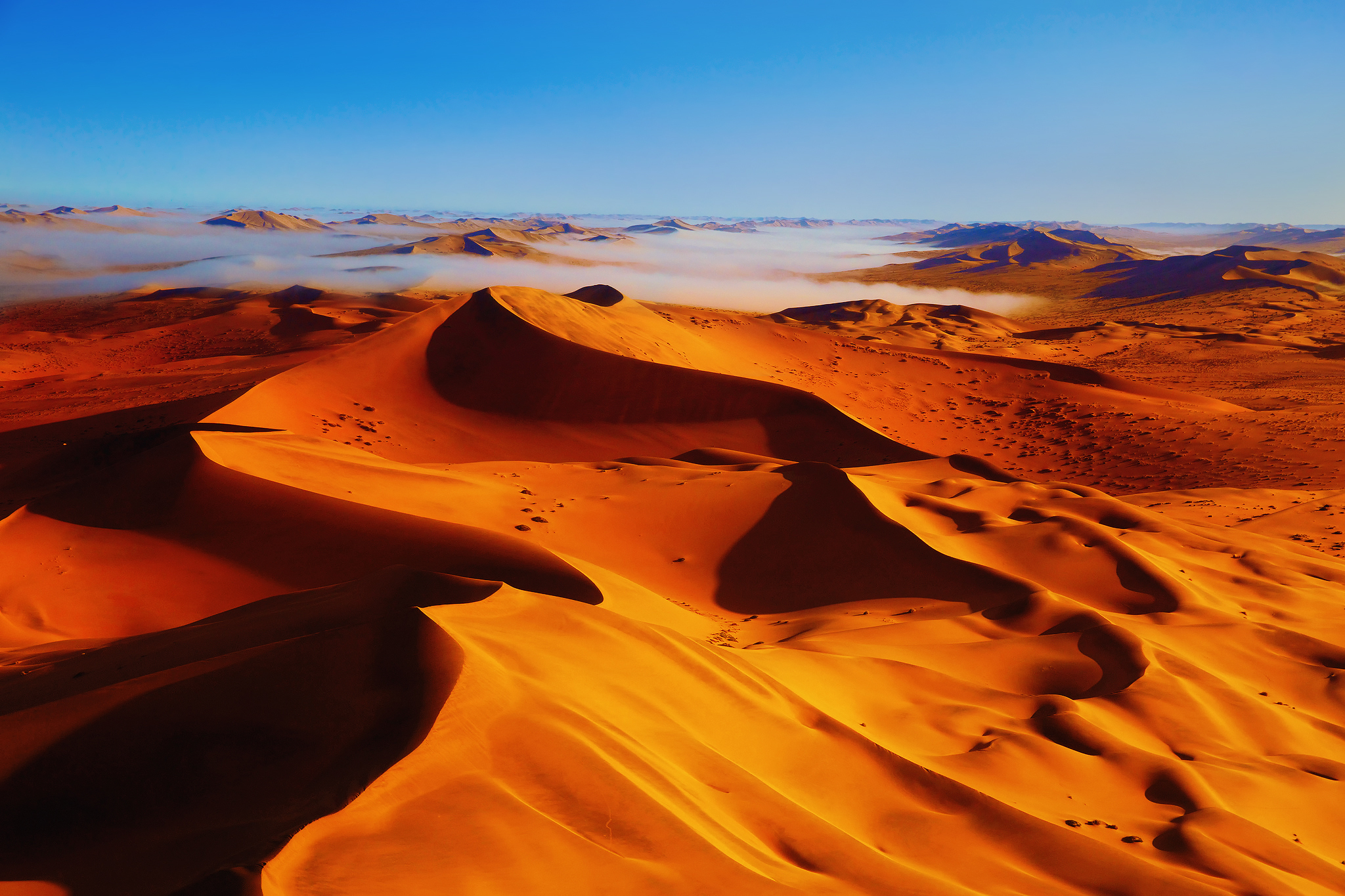 Beautiful desert
