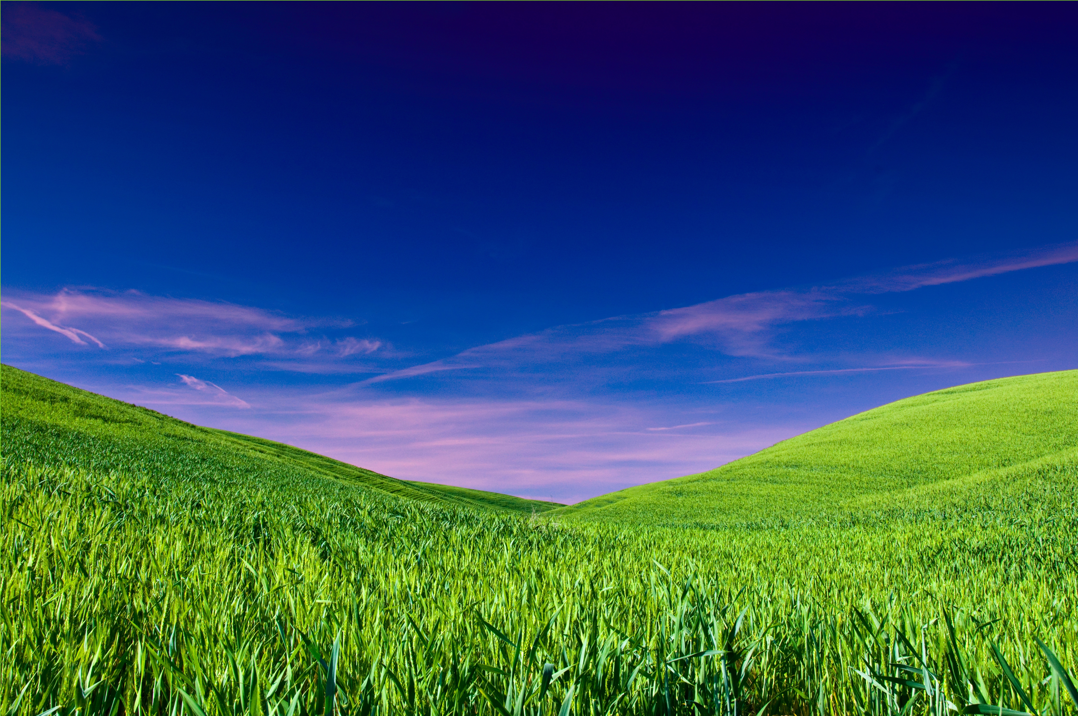 Песня голубое небо зеленая трава