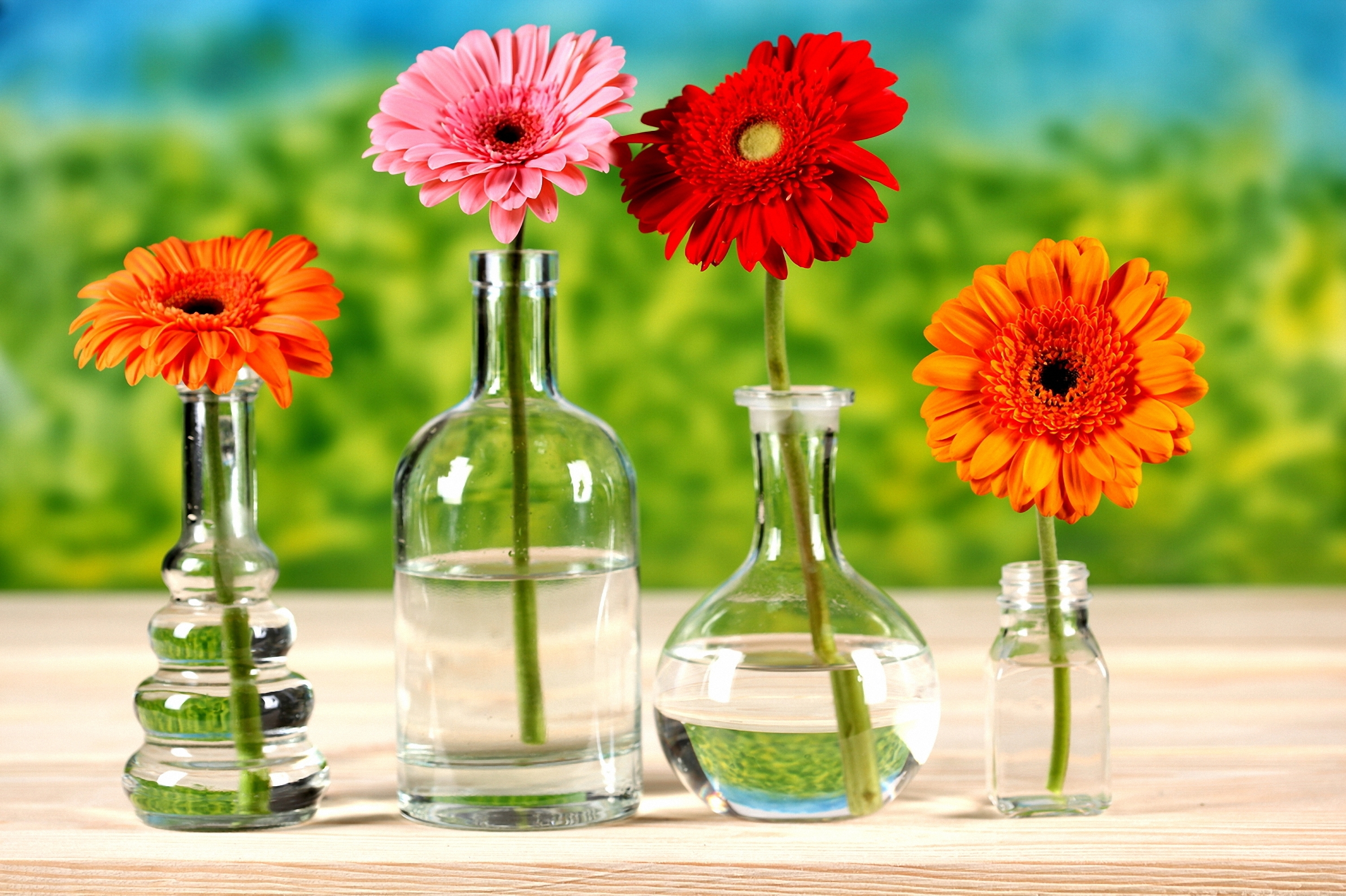 Цветы пьют воду. Цветы в вазе. Цветы в воде в вазе. Заставка на рабочий стол герберы. Цветы в бутылке.
