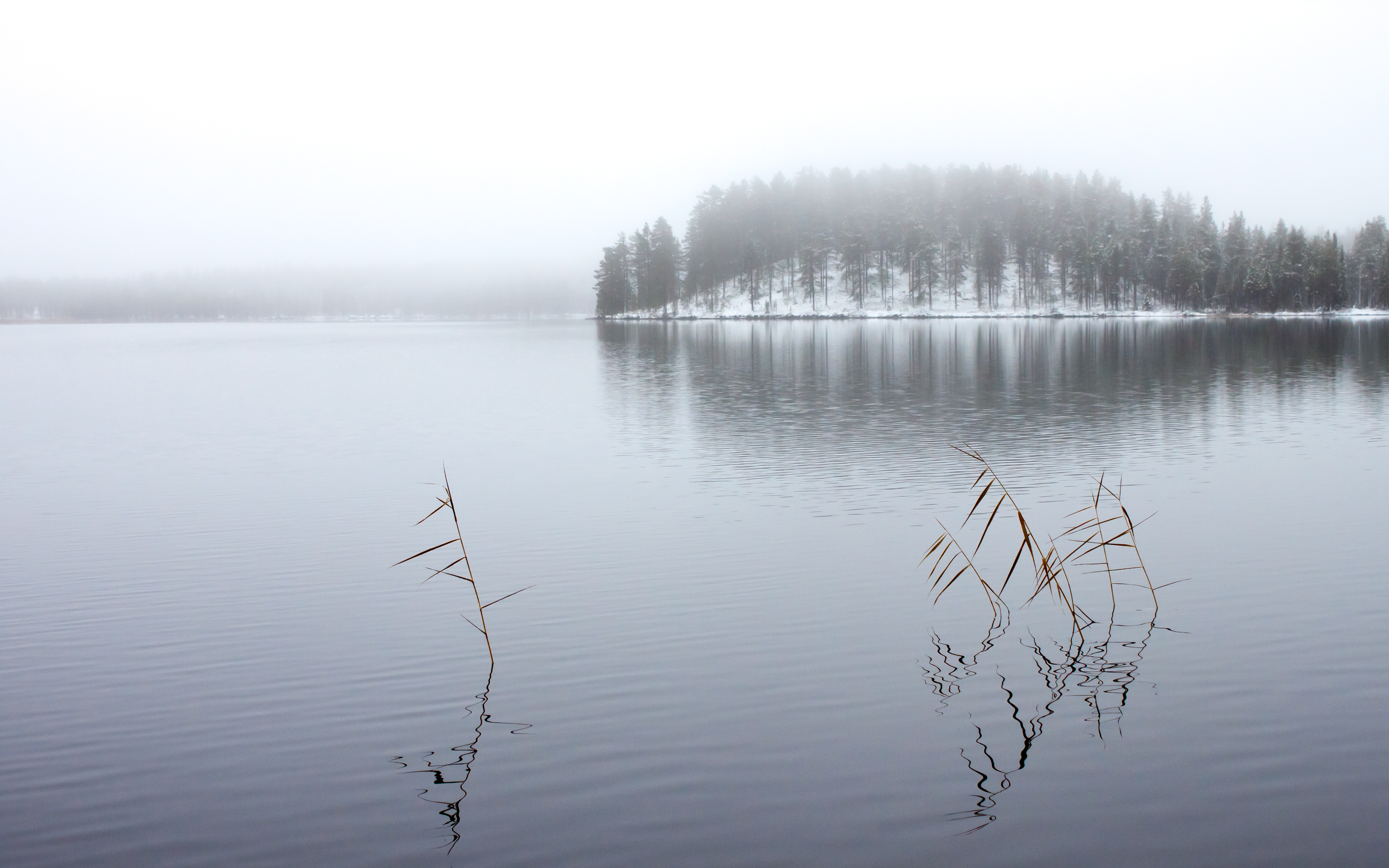 Грустное озеро. Озеро Винтер Рязанская область. Озеро Винтер Гулынки. Мрачное озеро. Серое озеро.
