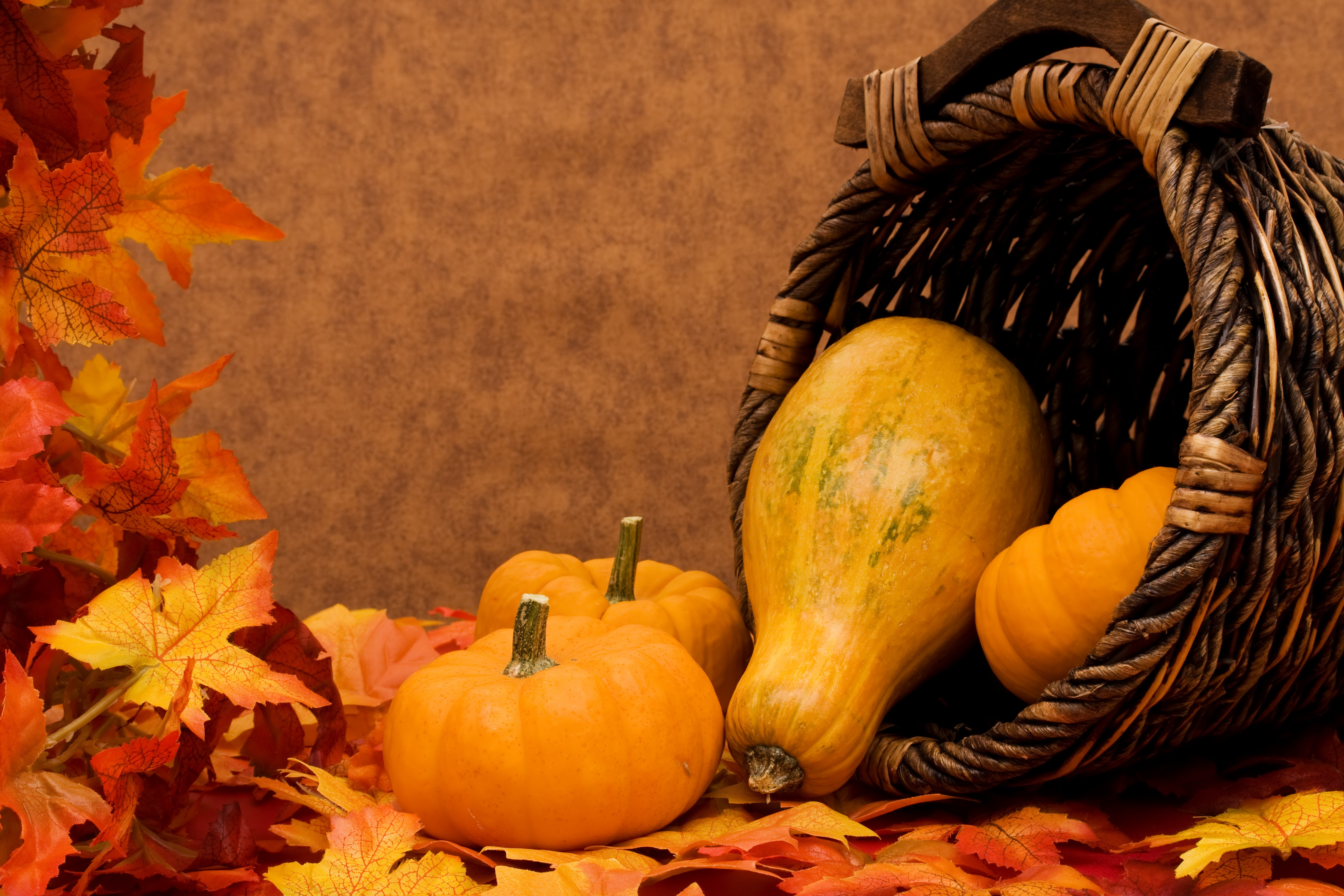 Осенний праздник тыквы. Осенний урожай. Натюрморт осенний. Осенняя тематика. Натюрморт с тыквой.