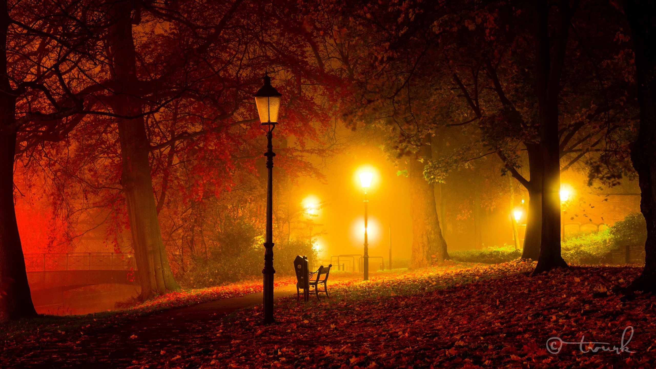 Однажды осенним вечером. Осенний вечер. Осенняя ночь. Осень ночь. Осень вечер парк.