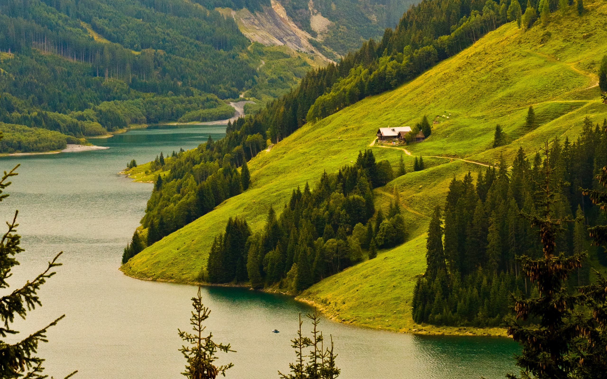 Луга река дом. Южный Шварцвальд озеро. Швейцария манзаралари. Карпаты горы река холмы. Озеро Рица.