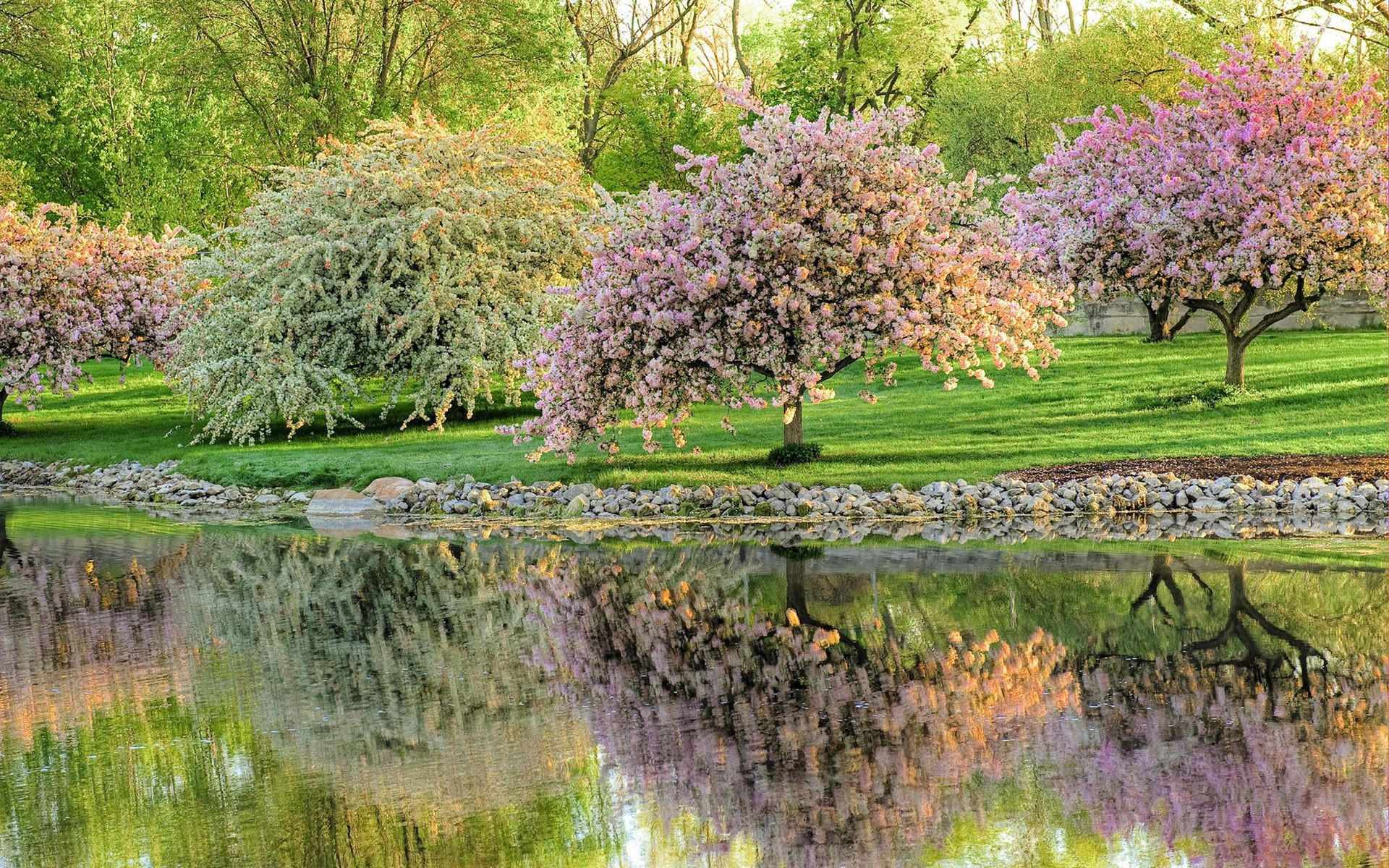 Музыка цветущего сада. Весенний сад (Spring Topiary Garden). Весенняя природа. Весенний пейзаж.