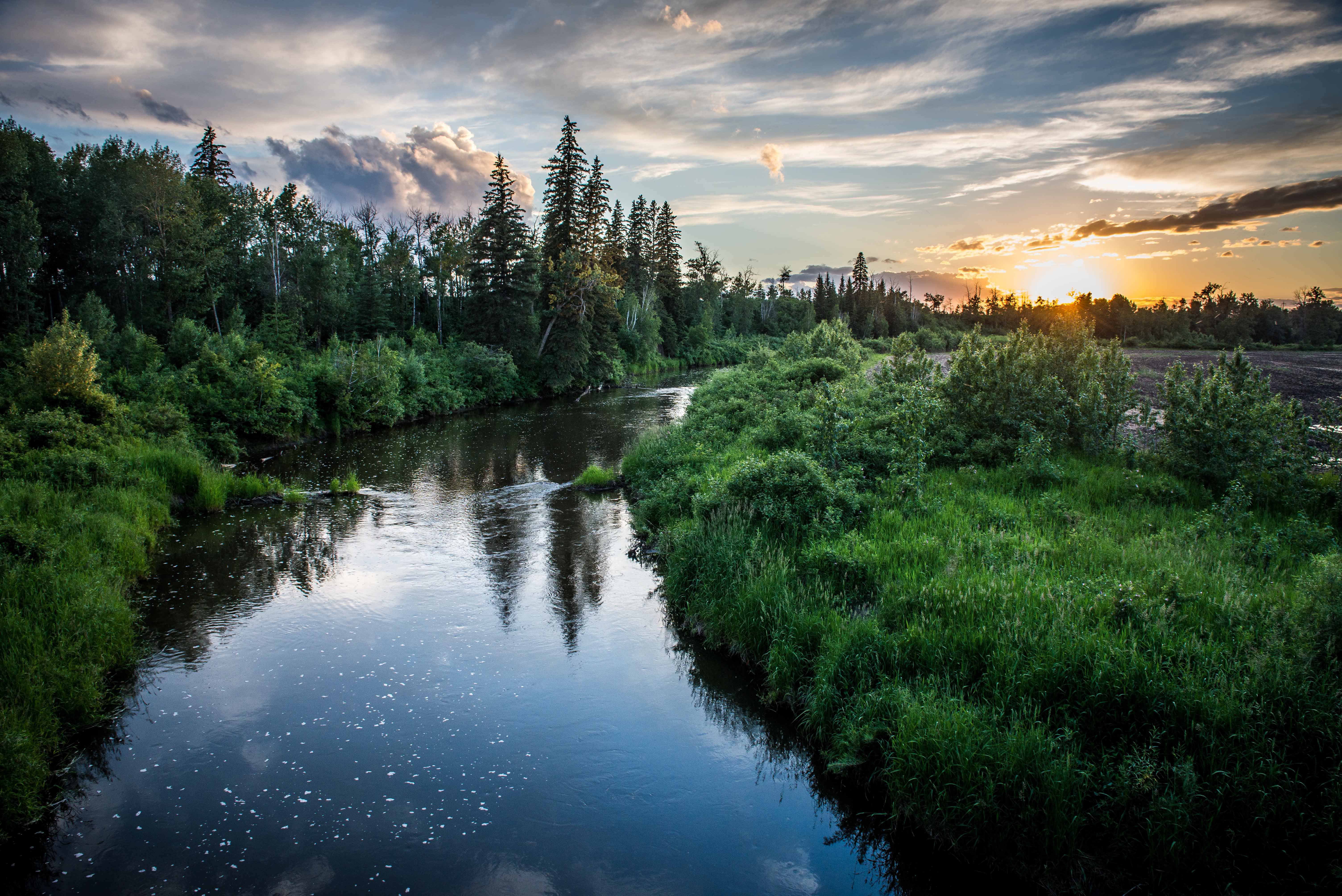 Nature of russia. Руза река лес. Лесная река. Река у леса. Красивая река.