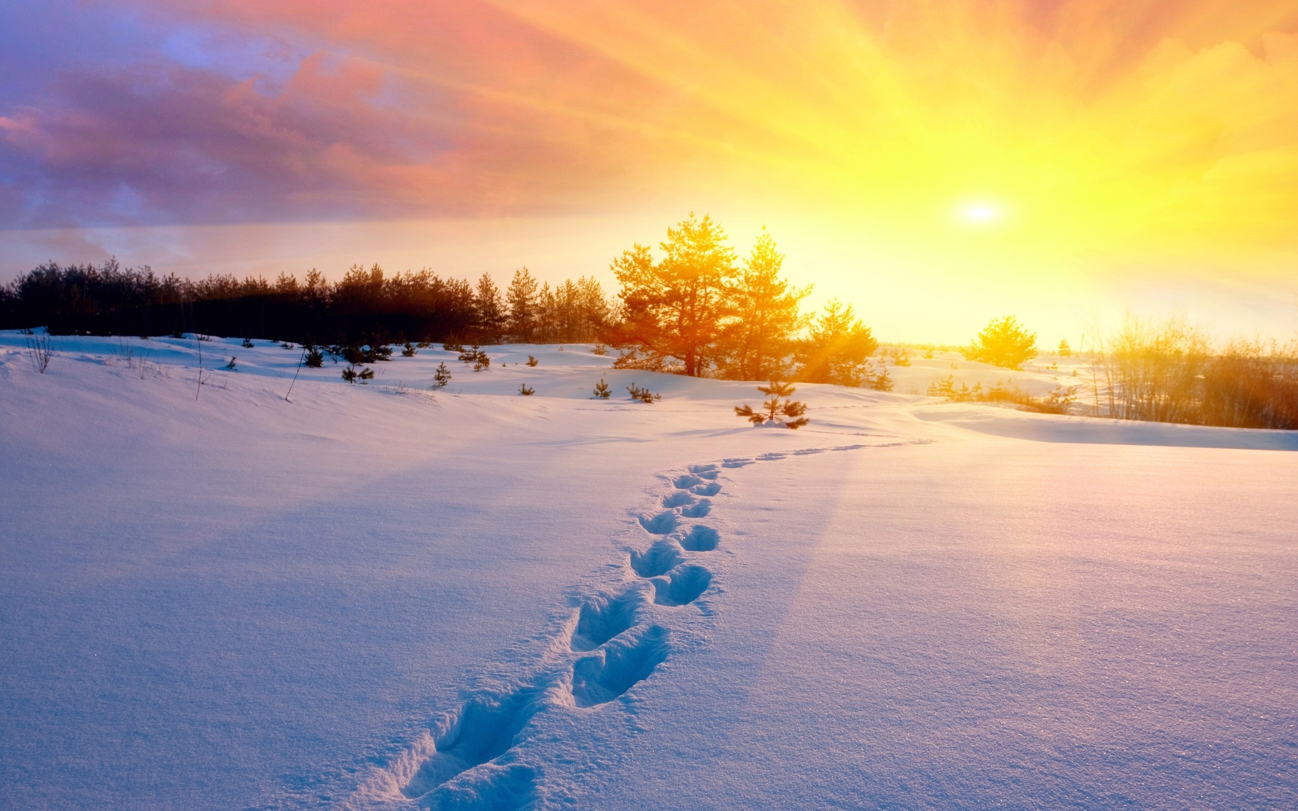 http://www.zastavki.com/pictures/originals/2014/Winter_____Footprints_in_the_snow_083369_.jpg