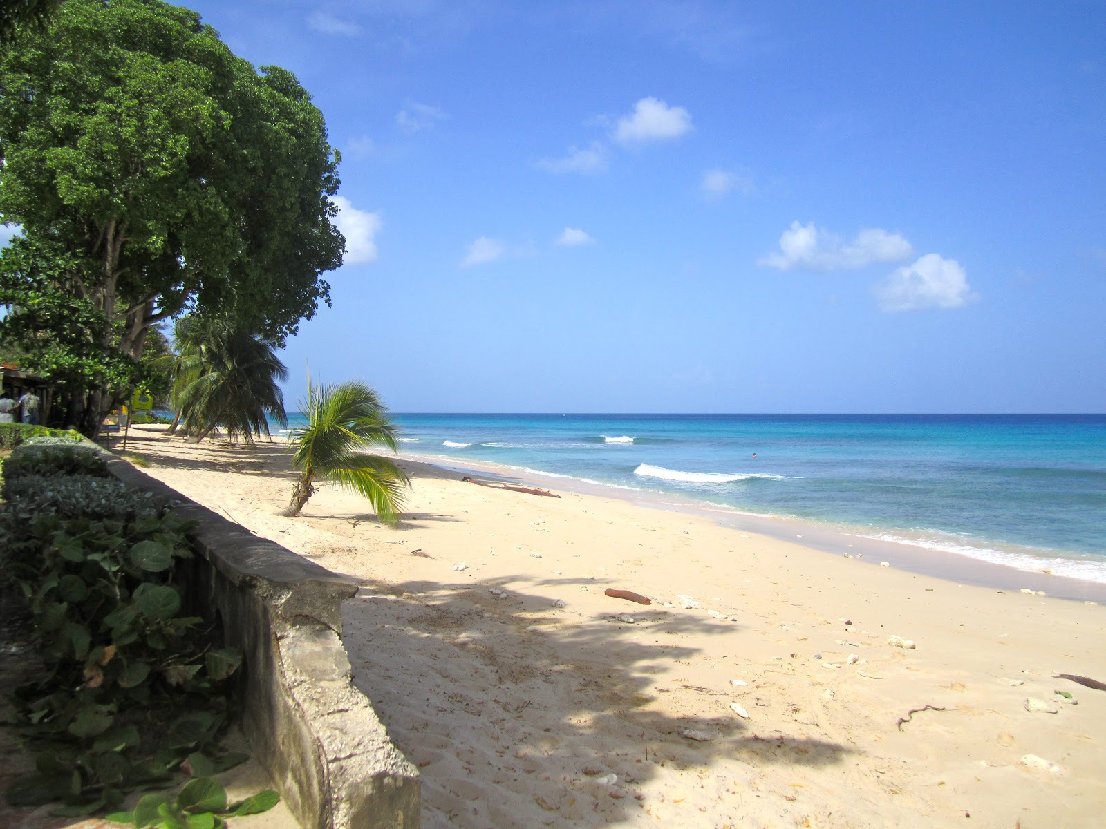 Zastaki.com - Песчаные пляжи в Барбадосе