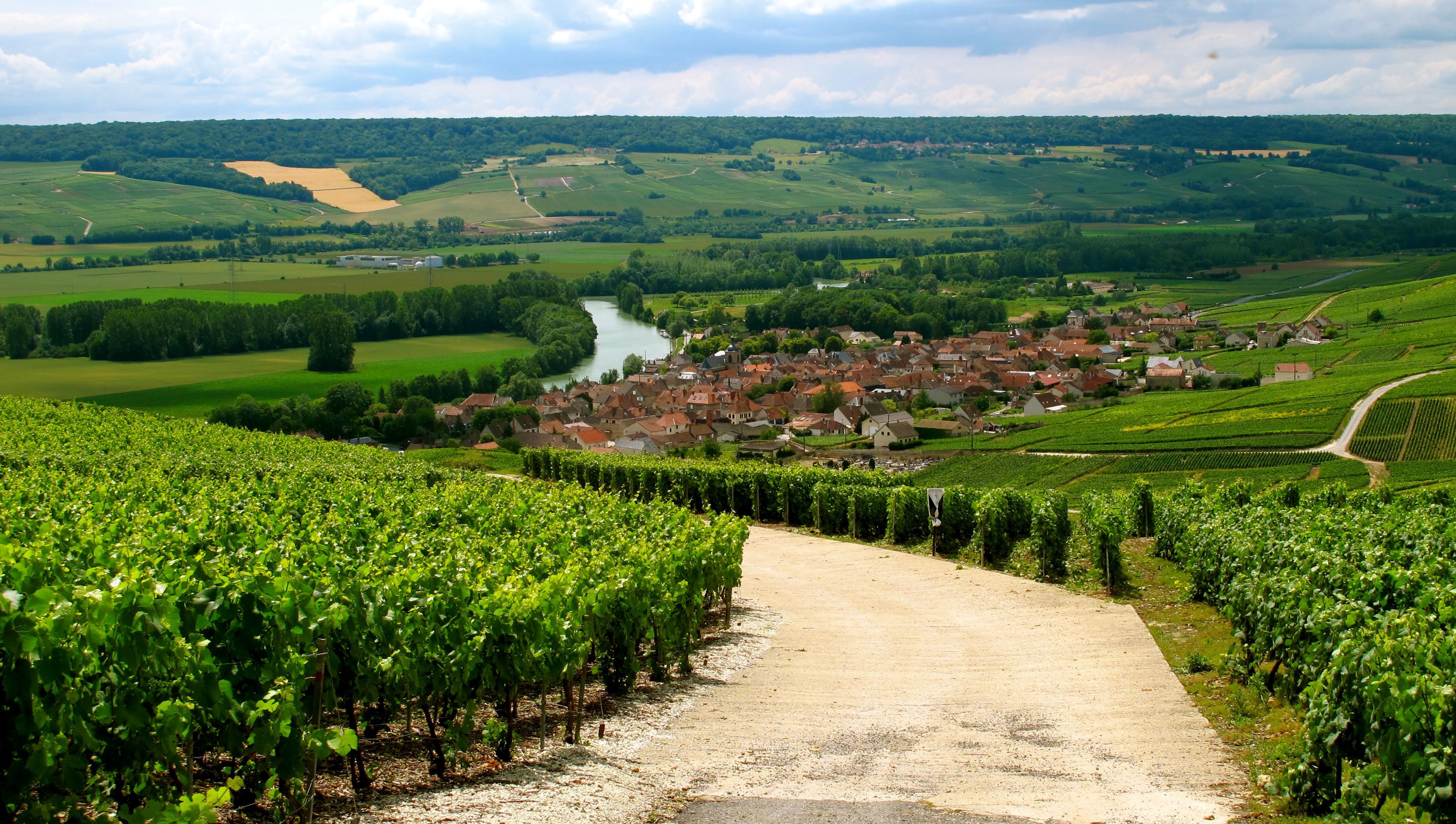 Провинция это. Виноградник в провинции шампань. Шампань — Арденны виноградники. Провинция шампань Франция. Провинция шампань Франция виноделие.