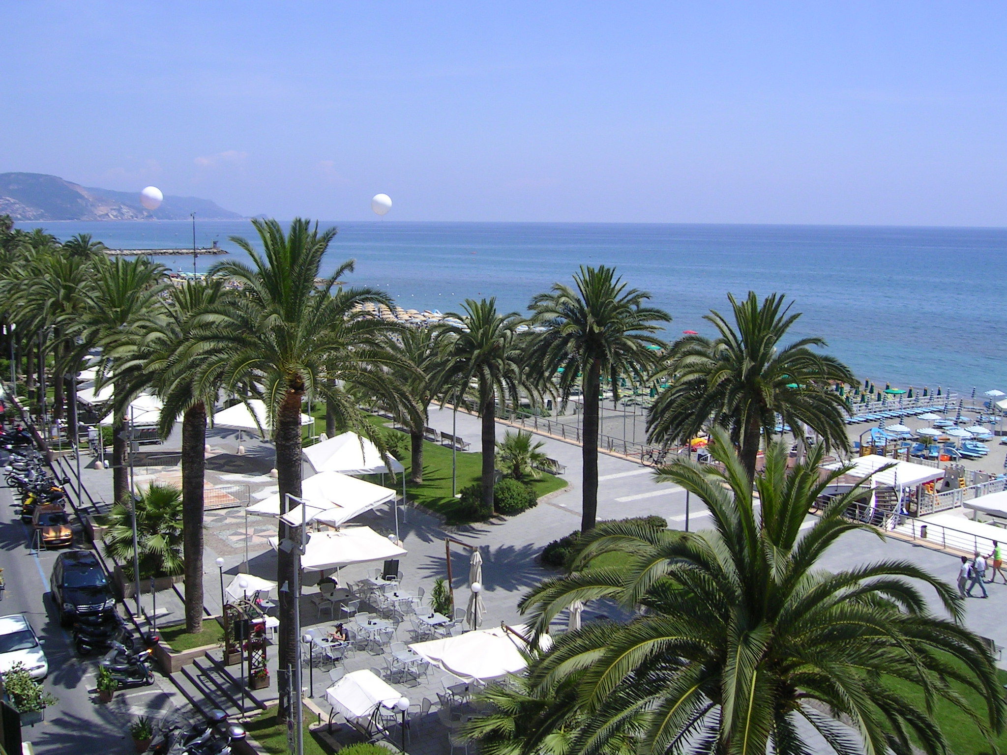 Palm trees on the beach in Loano, Italy