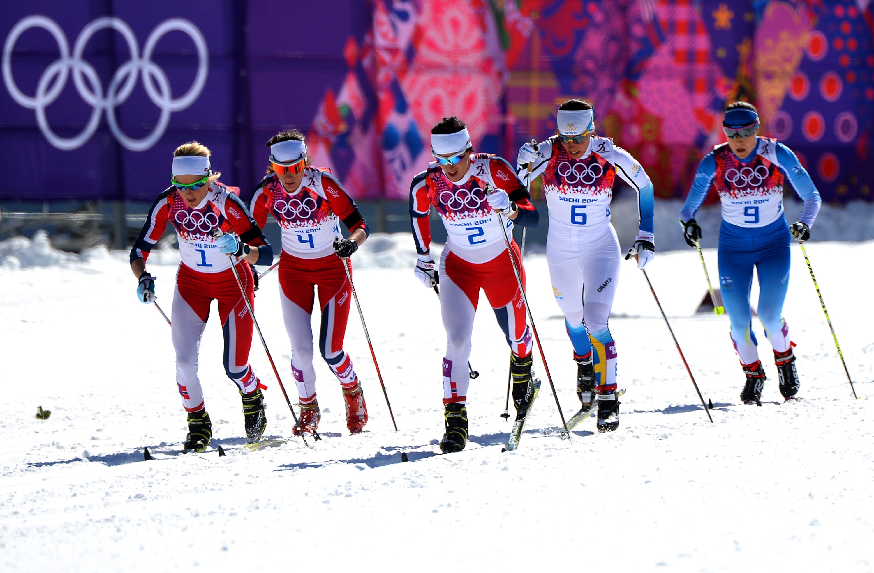 Виды гонок на лыжах. Лыжные гонки на зимних Олимпийских играх 2014. Лыжные гонки Сочи.