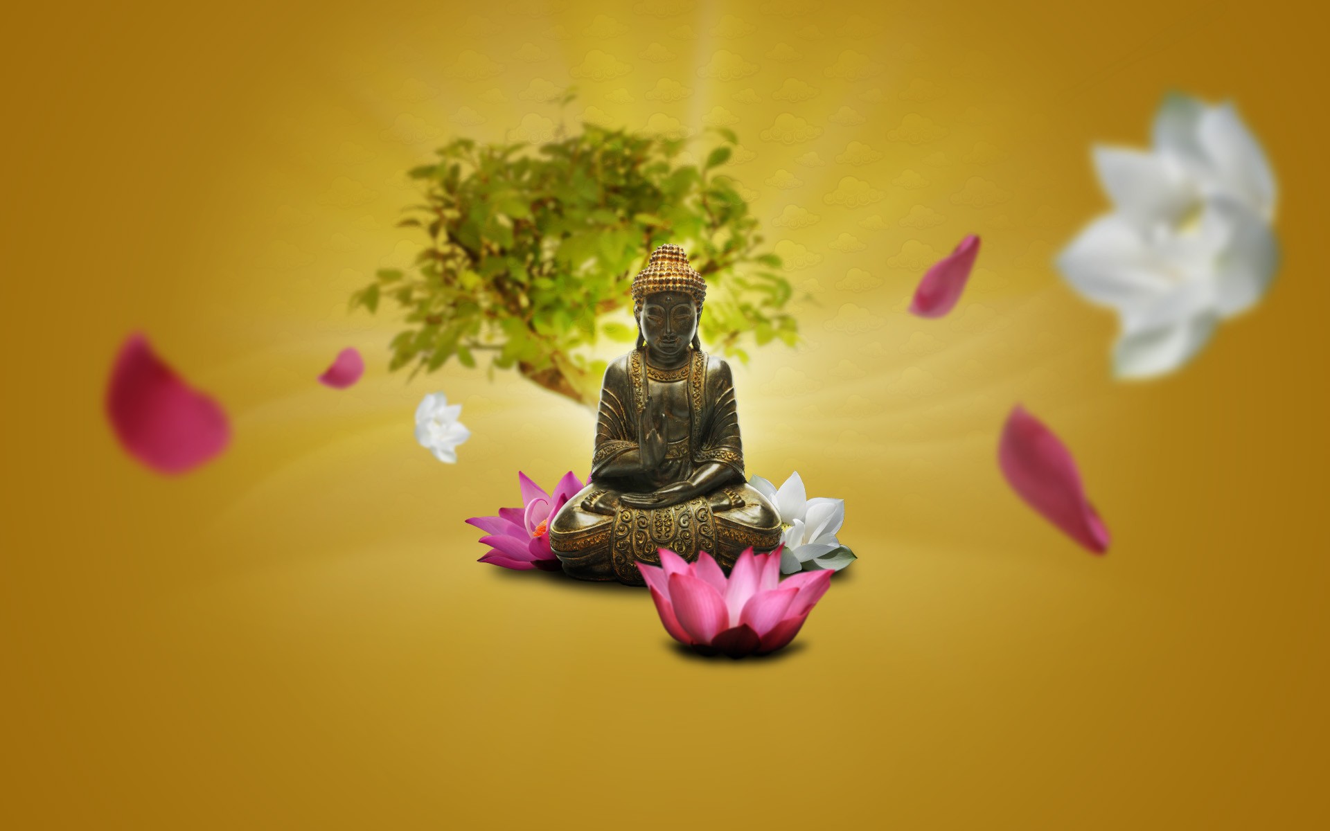 Мама 1 дзен. Будда Лотос дзен. Лотос цветок Будды. Будда коан цветок. Цветок медитация.