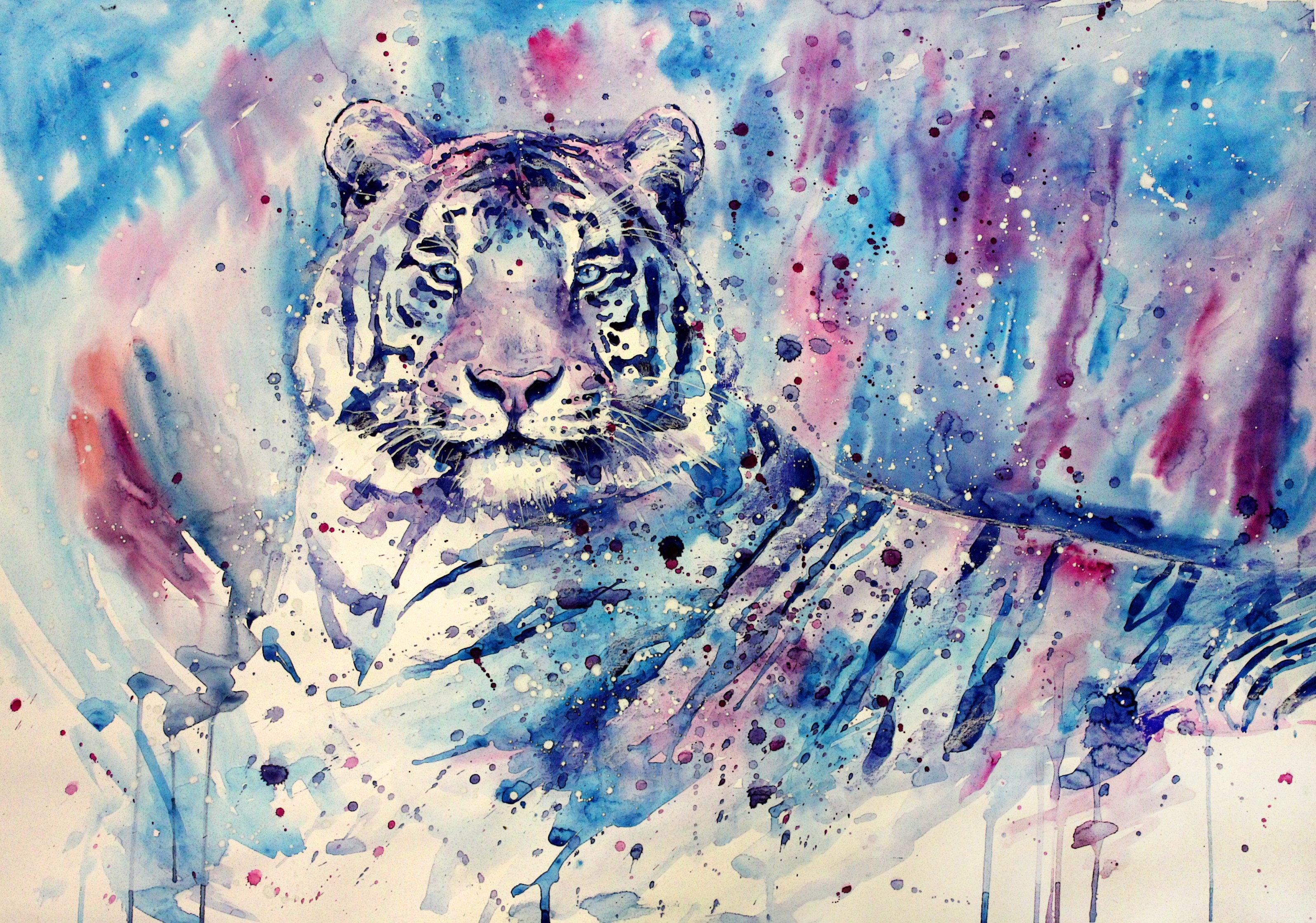 Zastaki.com - Изображение тигра в фиолетовых тонах