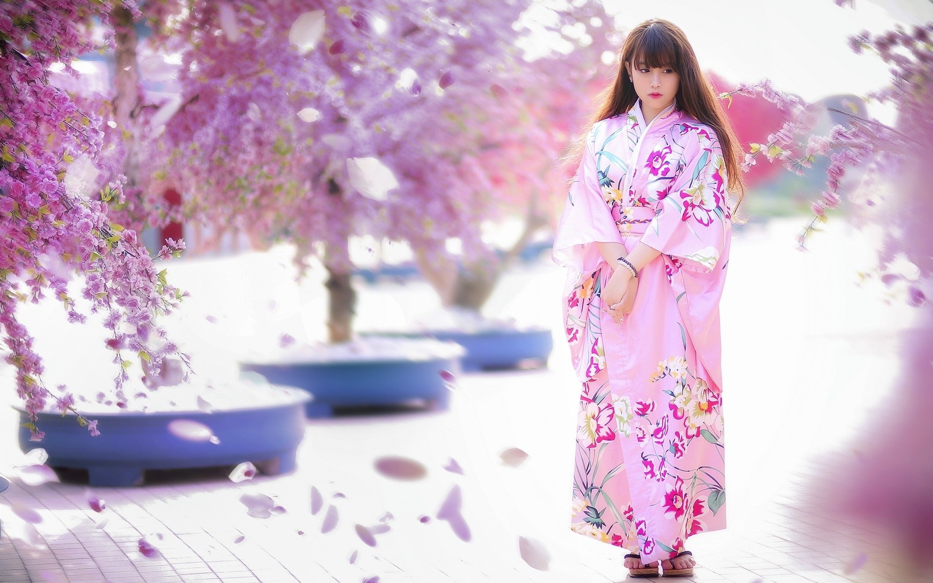 Япония девушки молодая. Фурисодэ кимоно Сакура. Фурисодэ кимоно женское. Черри блоссом в кимоно. Японская юката белая.
