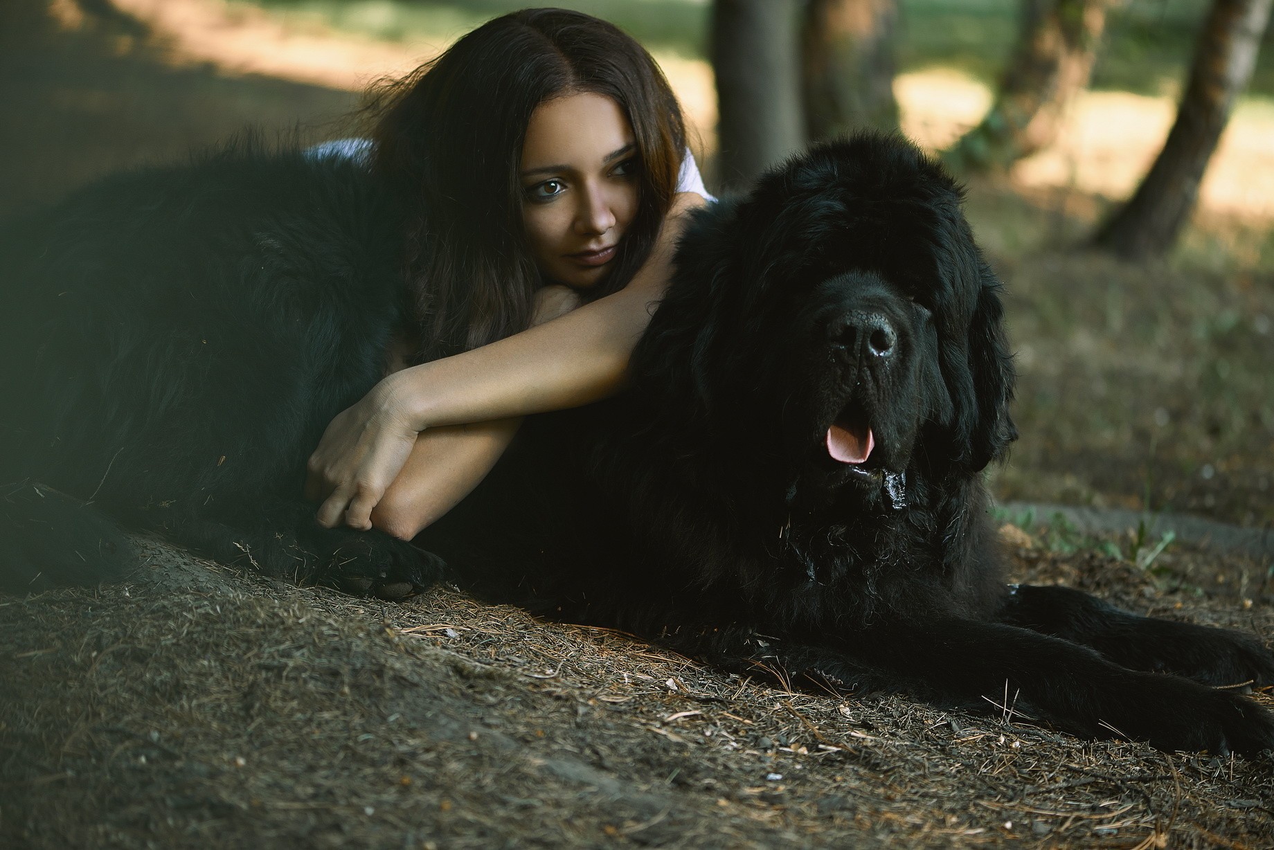 Девушка с собакой. Девушка с черной собакой. Женщина с большой собакой. Девушка с большой черной собакой. Красивая девушка с большой собакой.