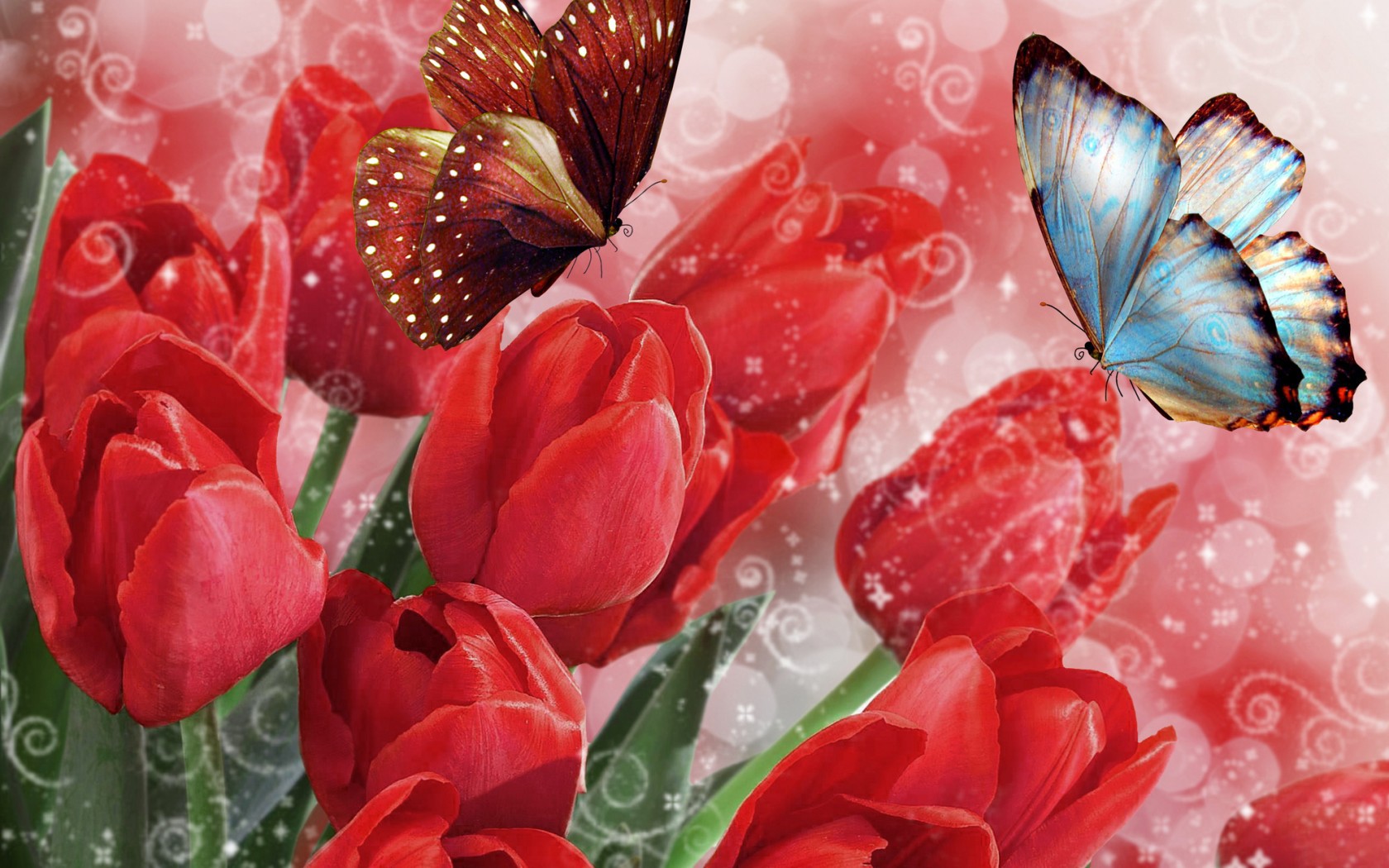 Zastaki.com - Бабочки на тюльпанах на 8 марта