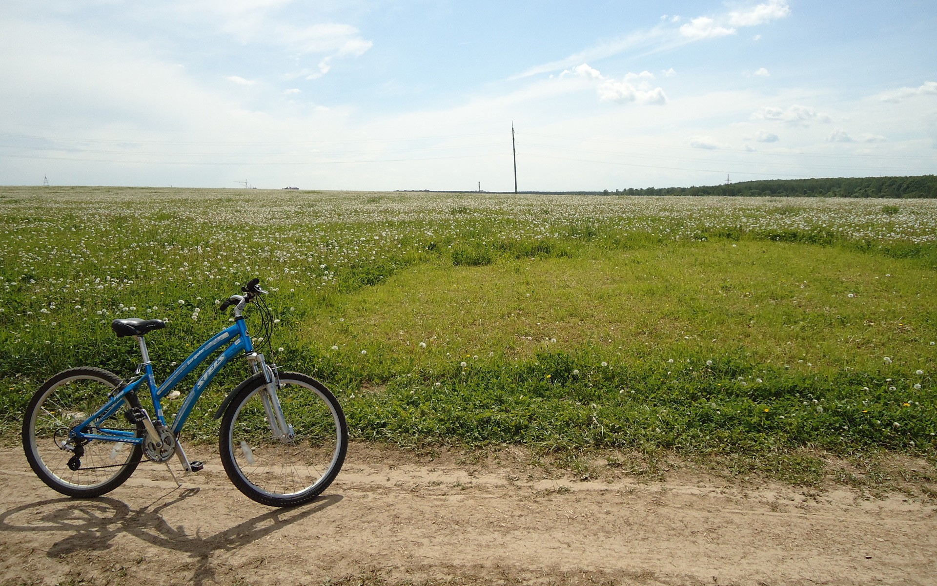 Велик в поле. Велосипед в степи. Велосипед в деревне. Велосипед на деревенской дороге. Велосипед в поле.