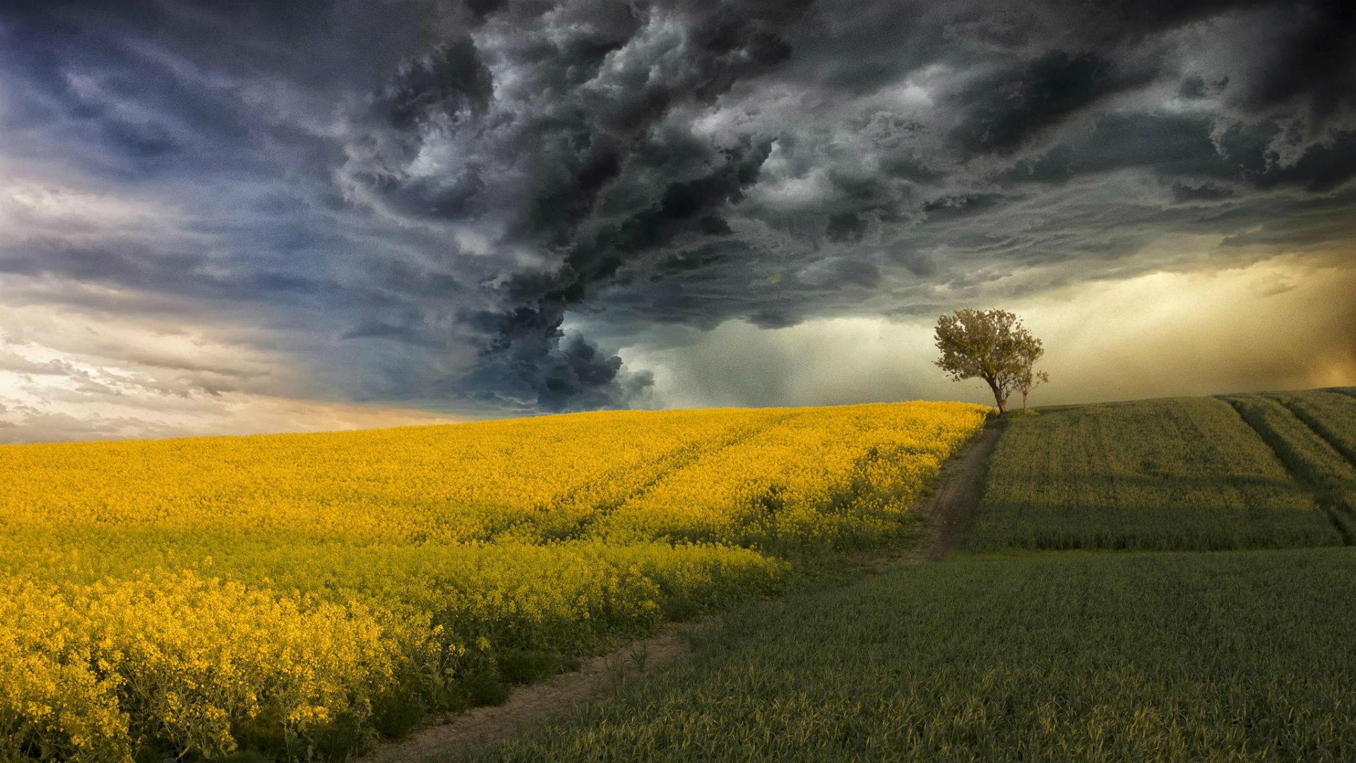 Spring Storm Team Background Storm Hd Desktop Wallpaper Spring