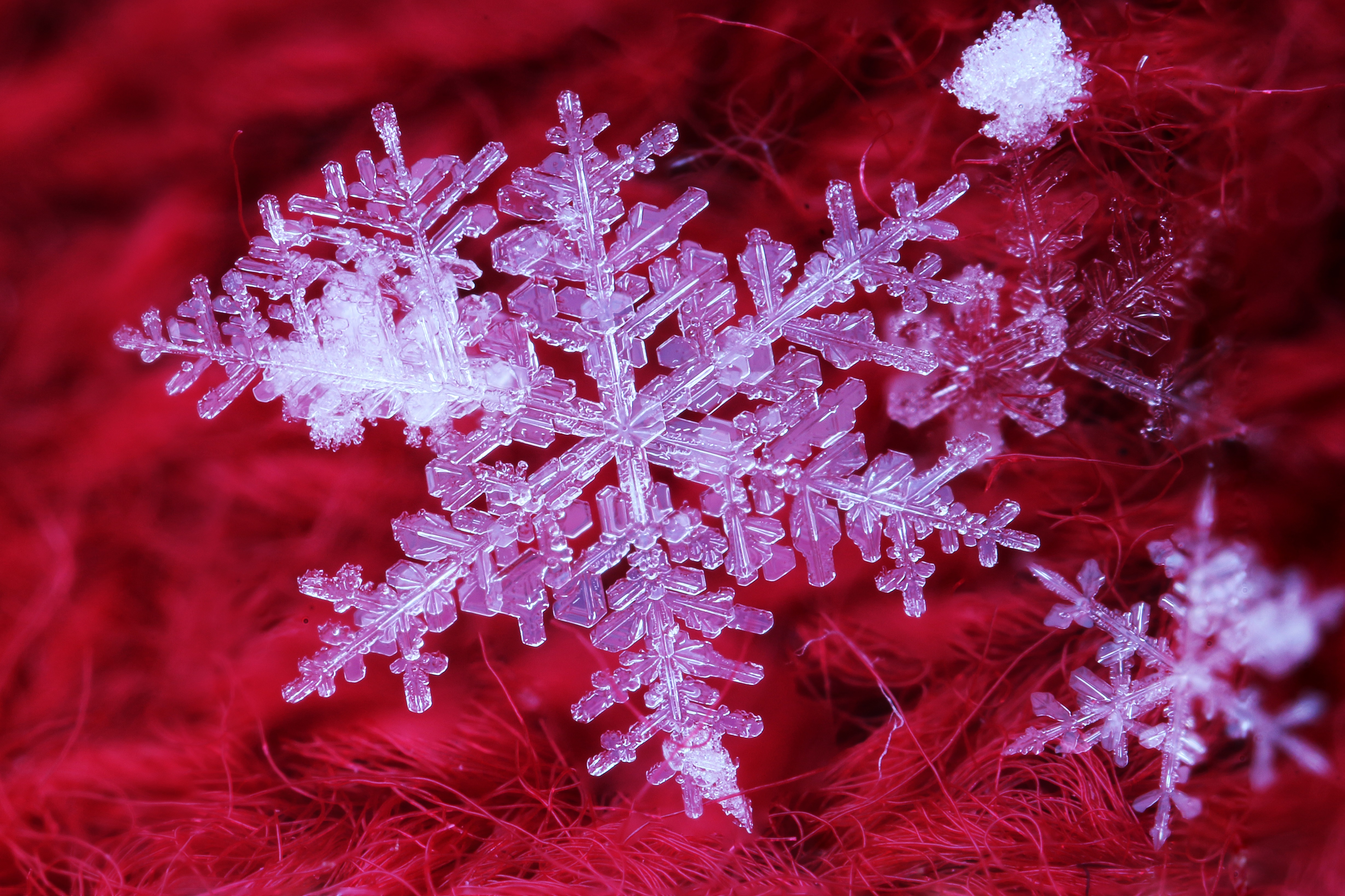 Zastaki.com - Красивая белая снежинка на красном фоне, макросъёмка